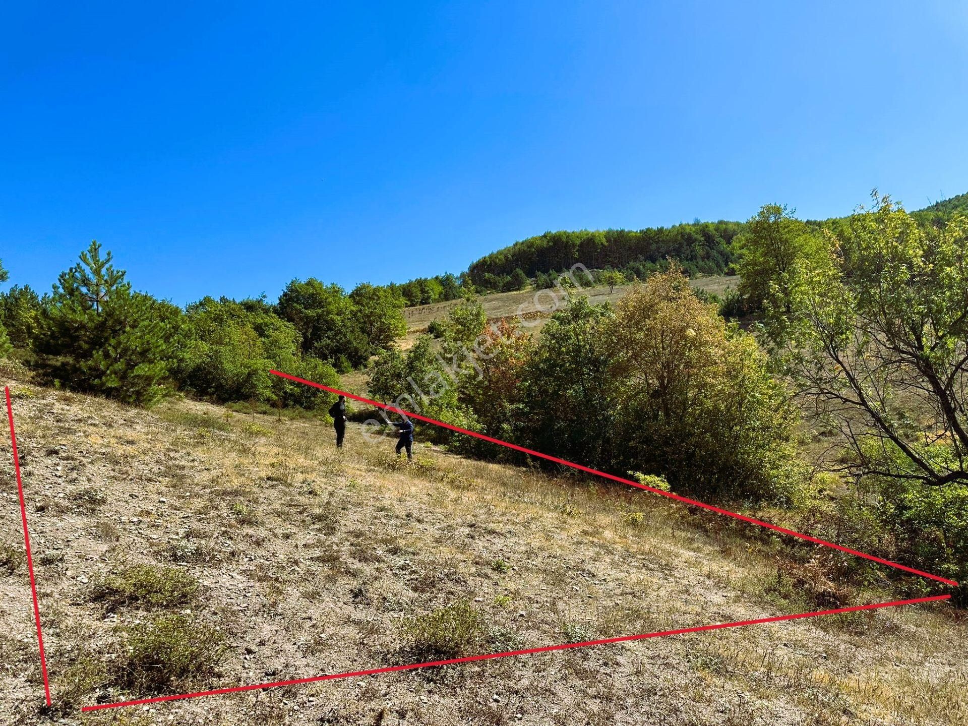 Sahibinden Yatırımlık Manzaralı Müstakil Tapulu - Görsel 2
