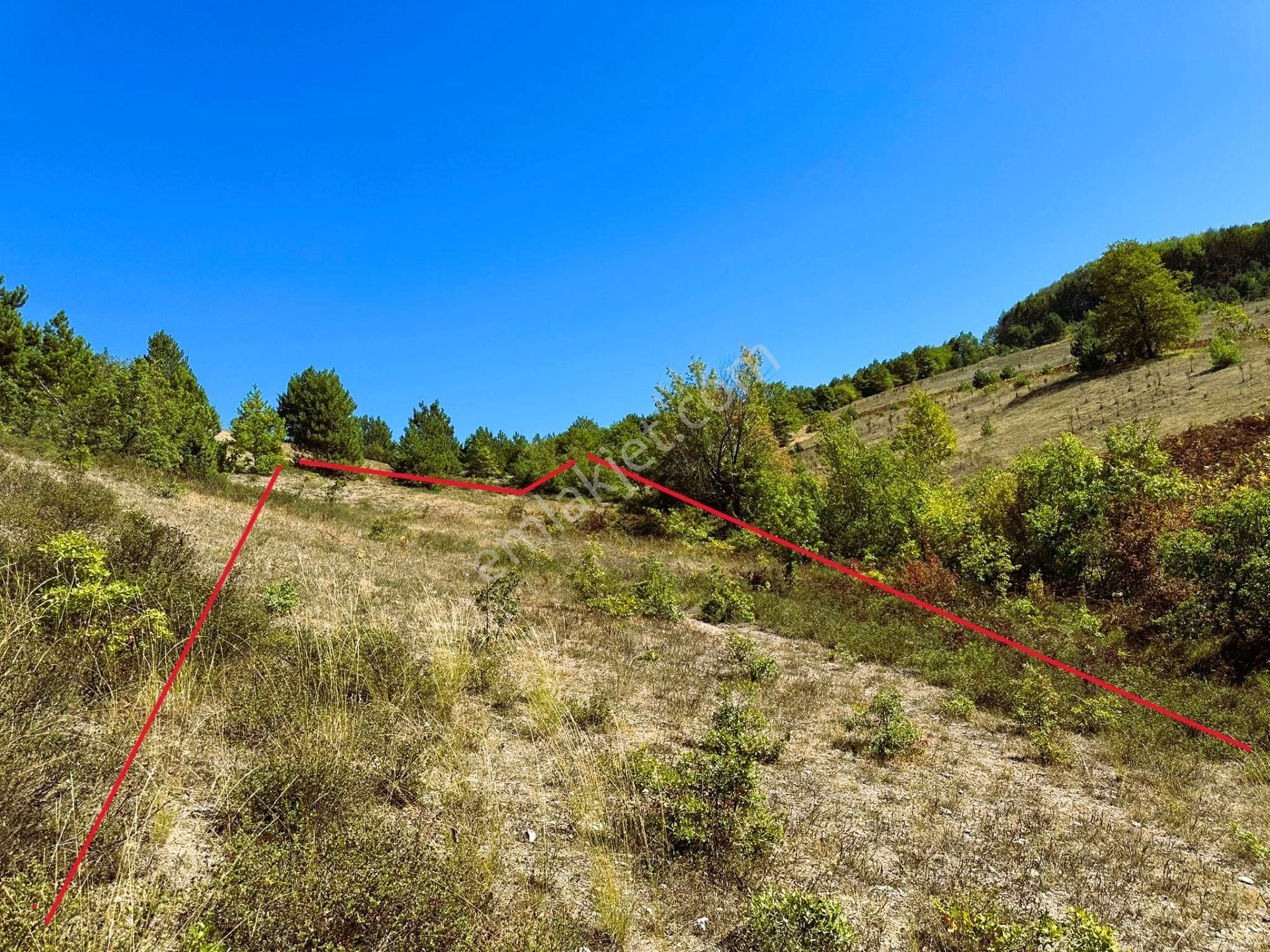 Sahibinden Yatırımlık Manzaralı Müstakil Tapulu - Görsel 11