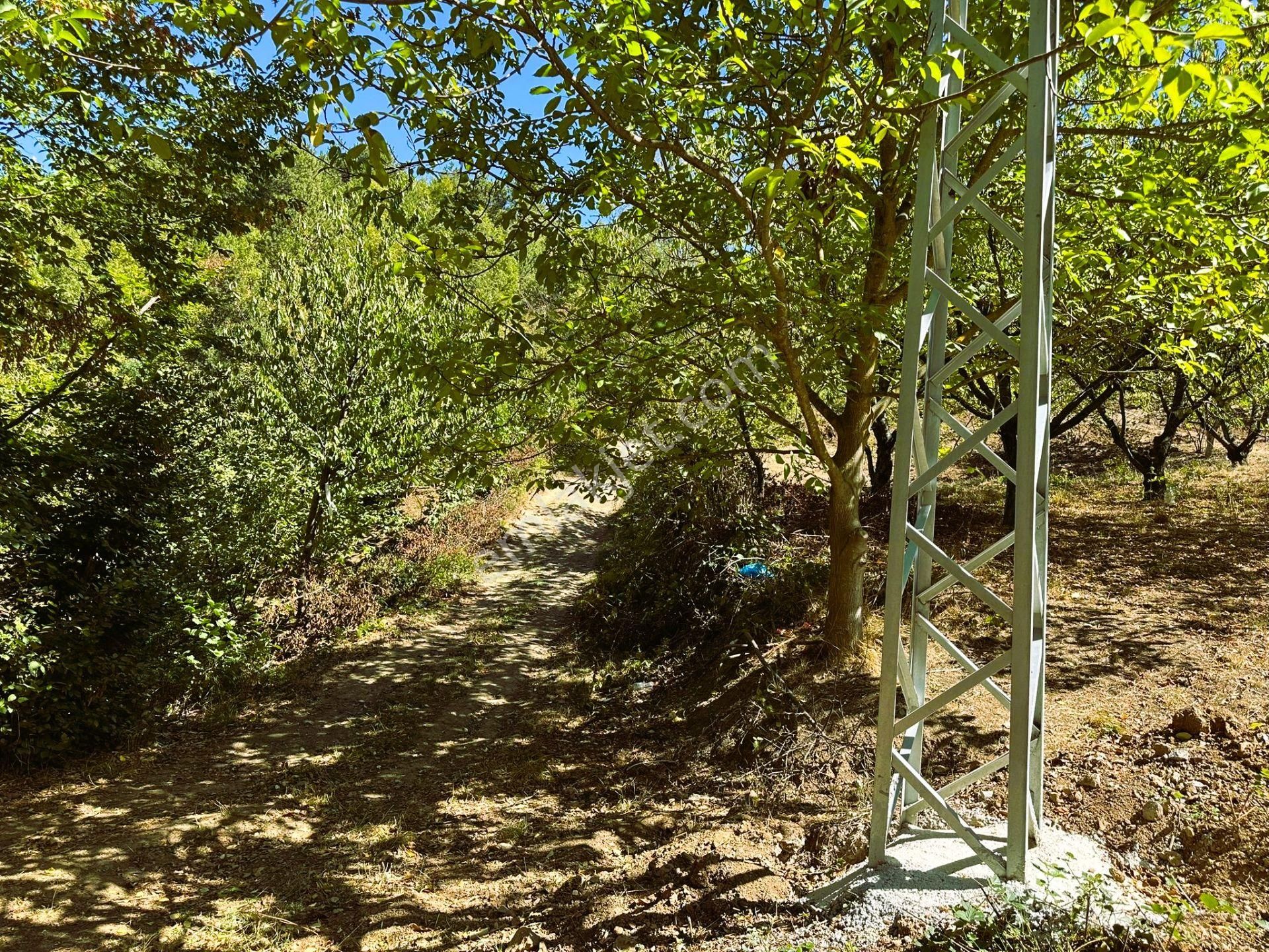 Sahibinden Yatırımlık Manzaralı Müstakil Tapulu - Görsel 5