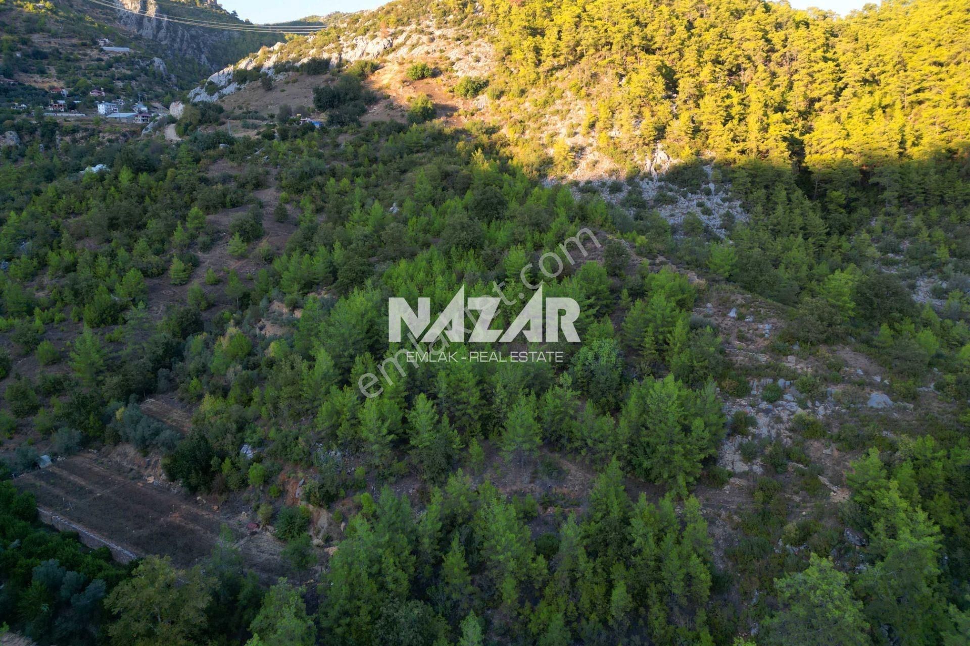 Alanya Kocaoğlanlı'da 2.402 M² Satılık Tarla - Görsel 6