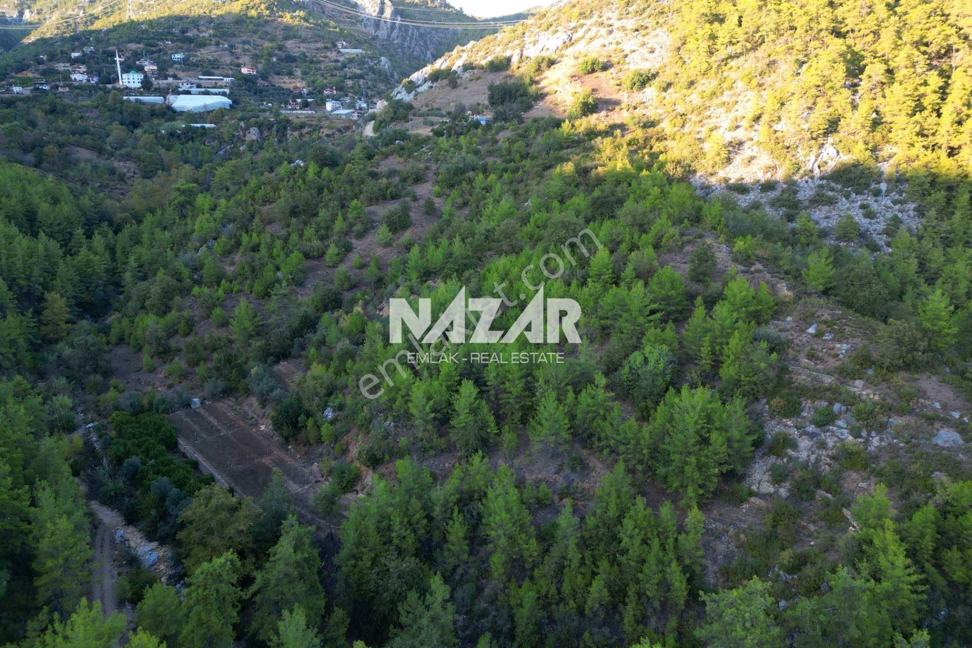 Alanya Kocaoğlanlı'da 2.402 M² Satılık Tarla - Görsel 4