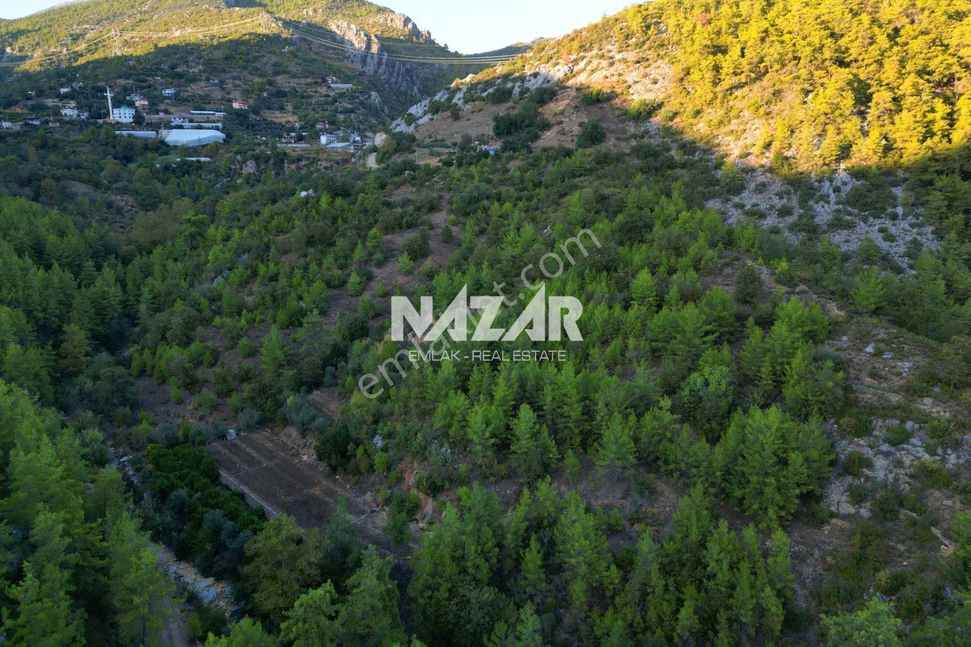 Alanya Kocaoğlanlı'da 2.402 M² Satılık Tarla - Görsel 12