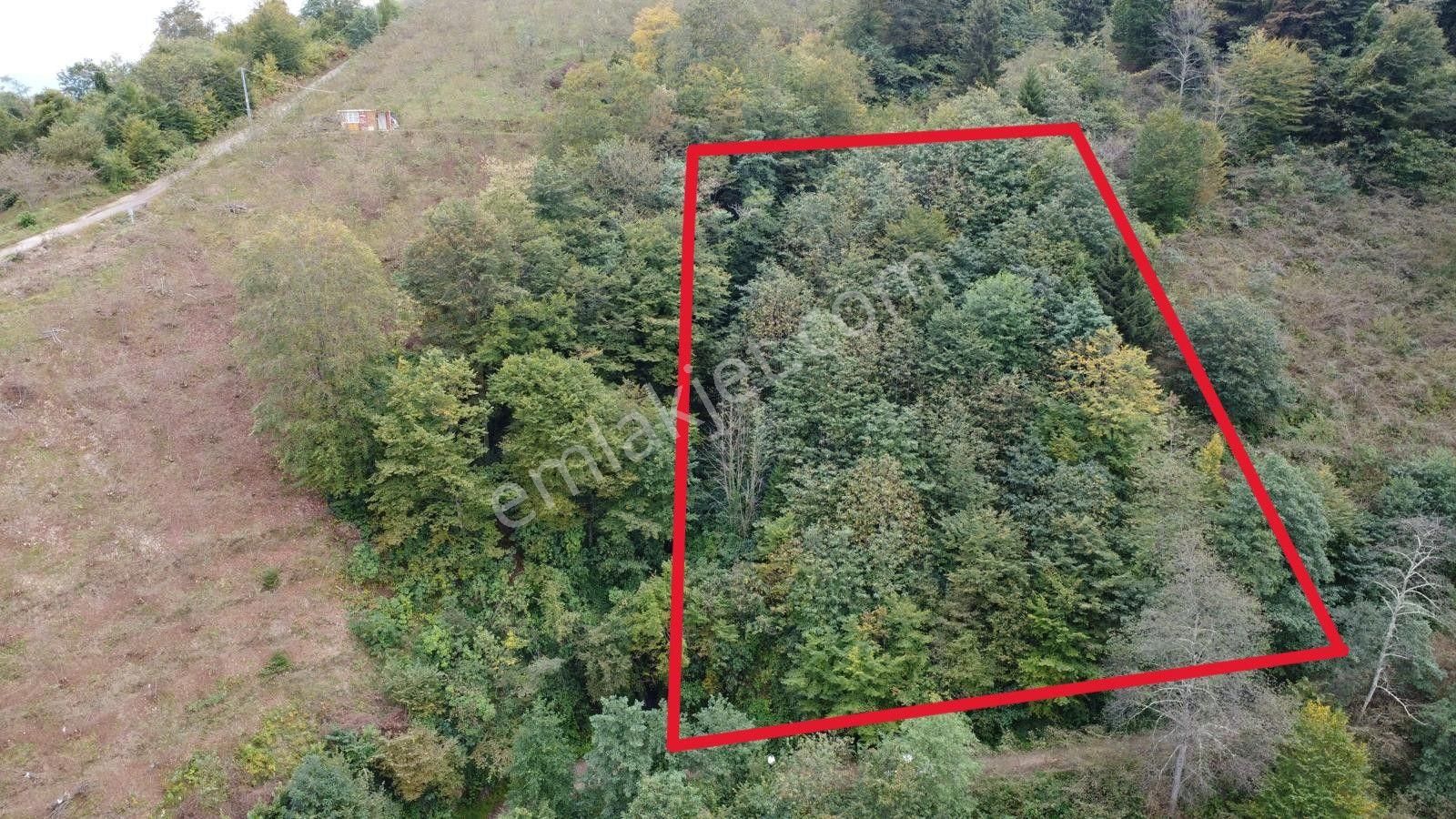 Trabzon Arsin'de Satılık Arazi - Görsel 3