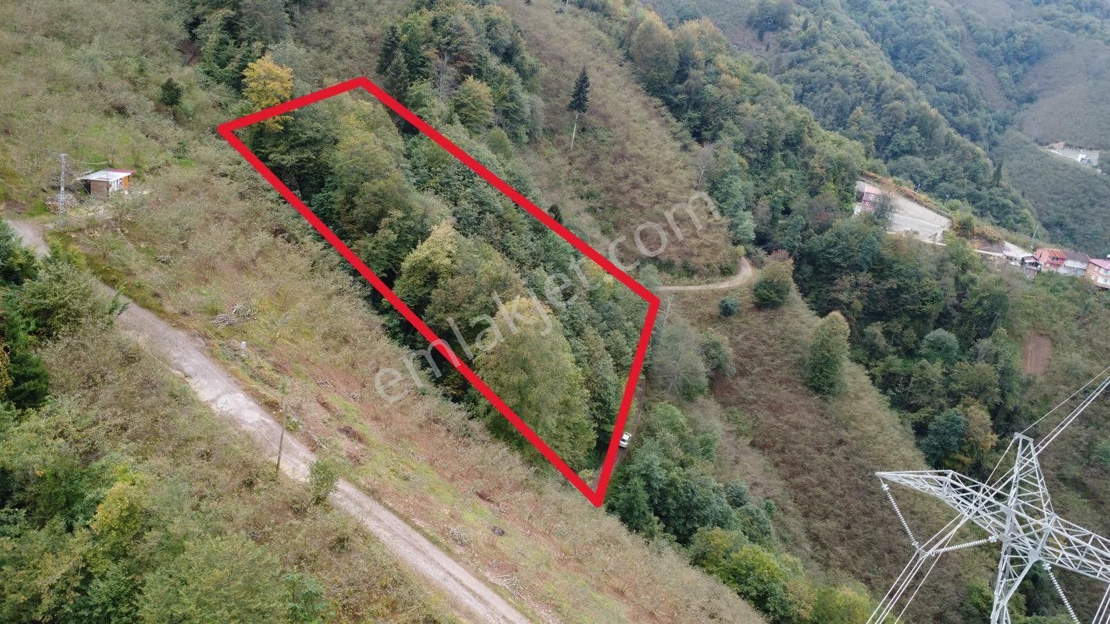 Trabzon Arsin'de Satılık Arazi - Görsel 5