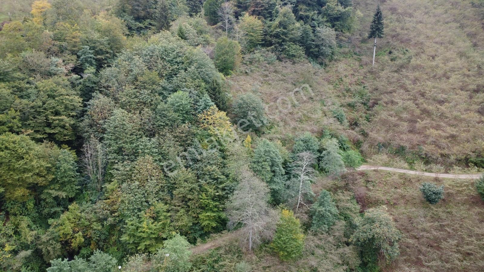 Trabzon Arsin'de Satılık Arazi - Görsel 16