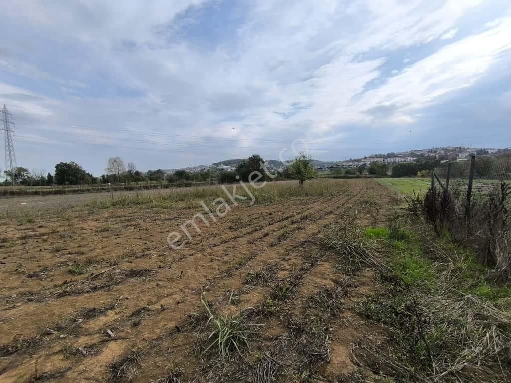 Camili De 3545 M2 İmar Sınırında Satılık Yatırımlık Tarla - Görsel 10