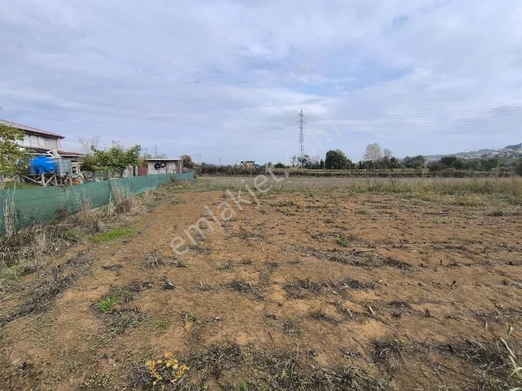 Camili De 3545 M2 İmar Sınırında Satılık Yatırımlık Tarla - Görsel 12