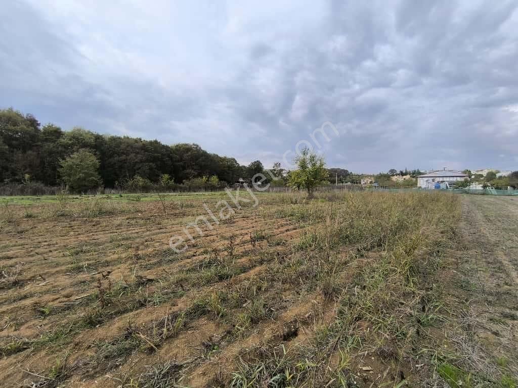 Camili De 3545 M2 İmar Sınırında Satılık Yatırımlık Tarla - Görsel 6