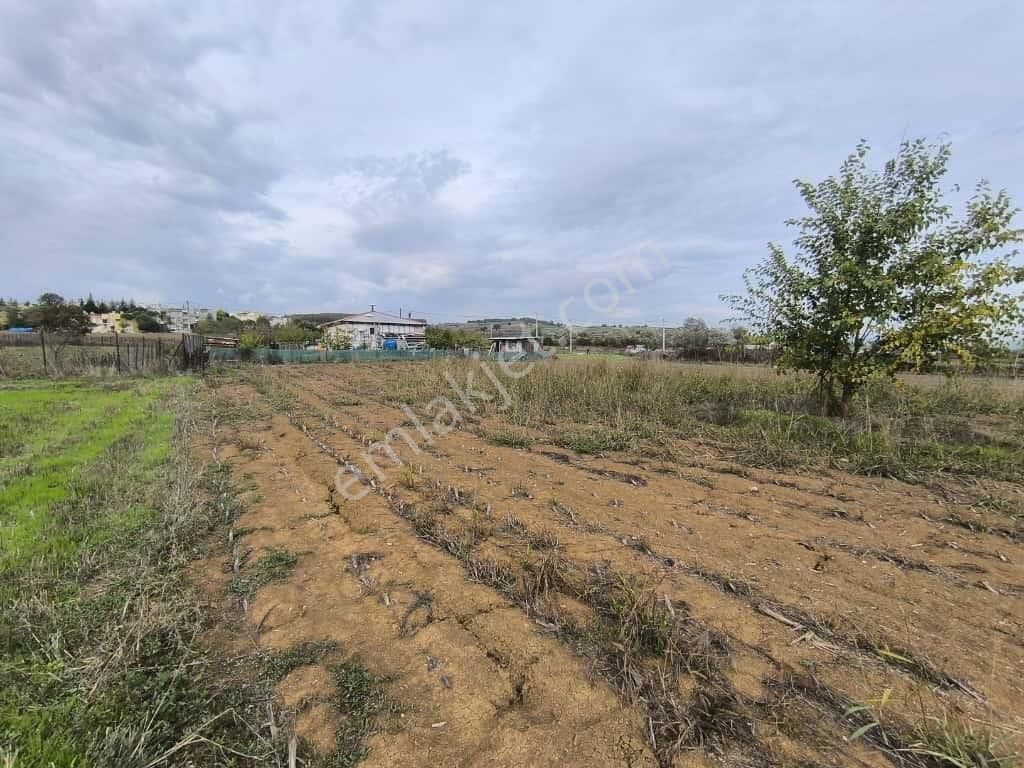 Camili De 3545 M2 İmar Sınırında Satılık Yatırımlık Tarla - Görsel 7