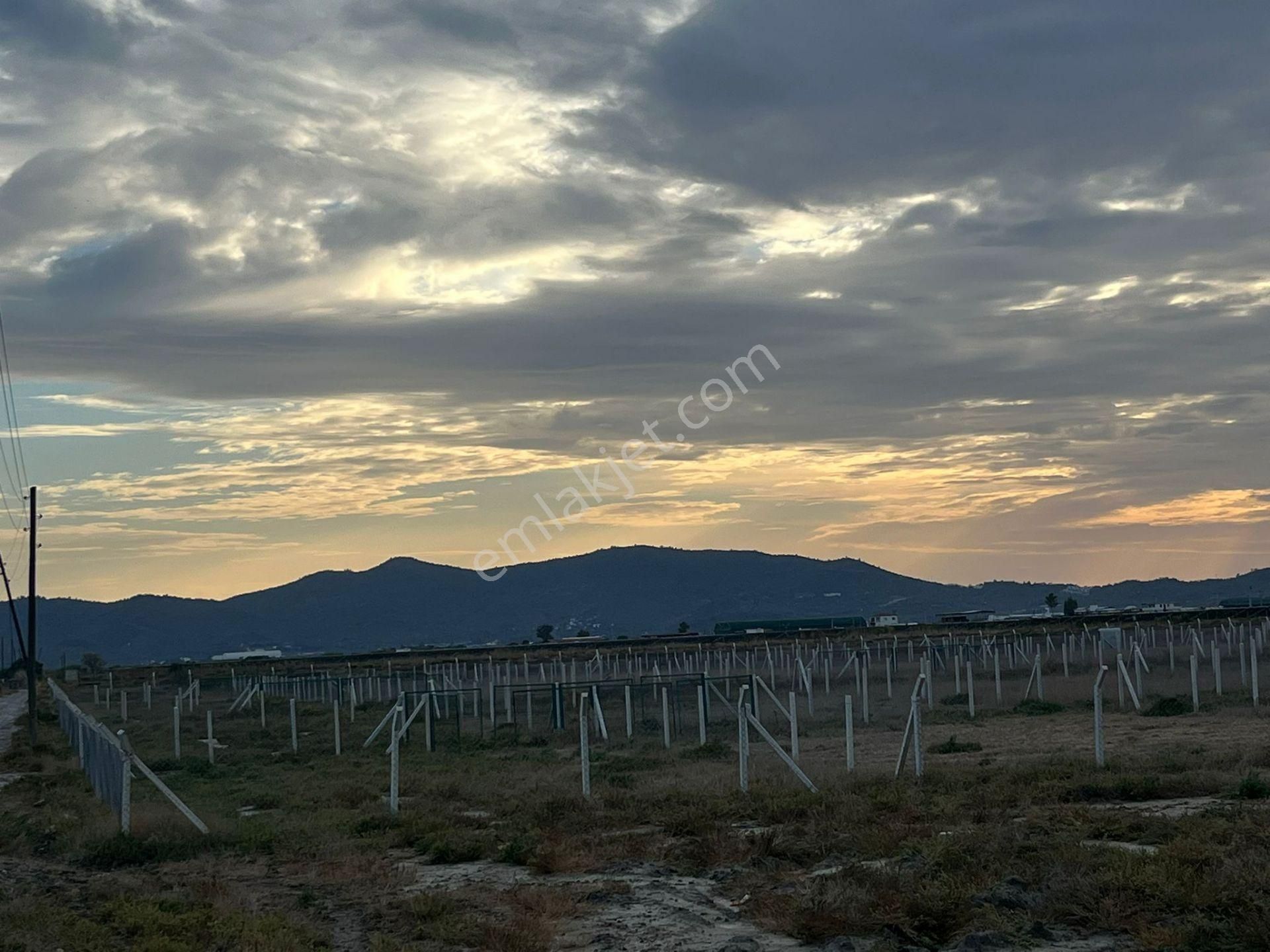 300 M²de Özgürlük Sizi Bekliyor Elektrik, Su, Güvenlik Hazır! - Görsel 7