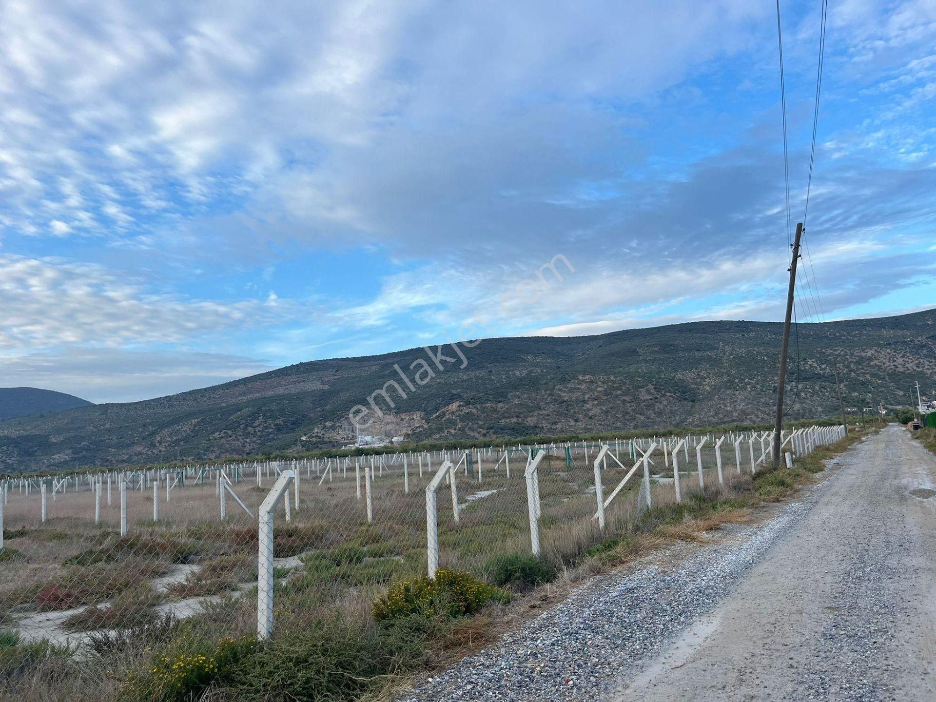300 M²de Özgürlük Sizi Bekliyor Elektrik, Su, Güvenlik Hazır! - Görsel 9