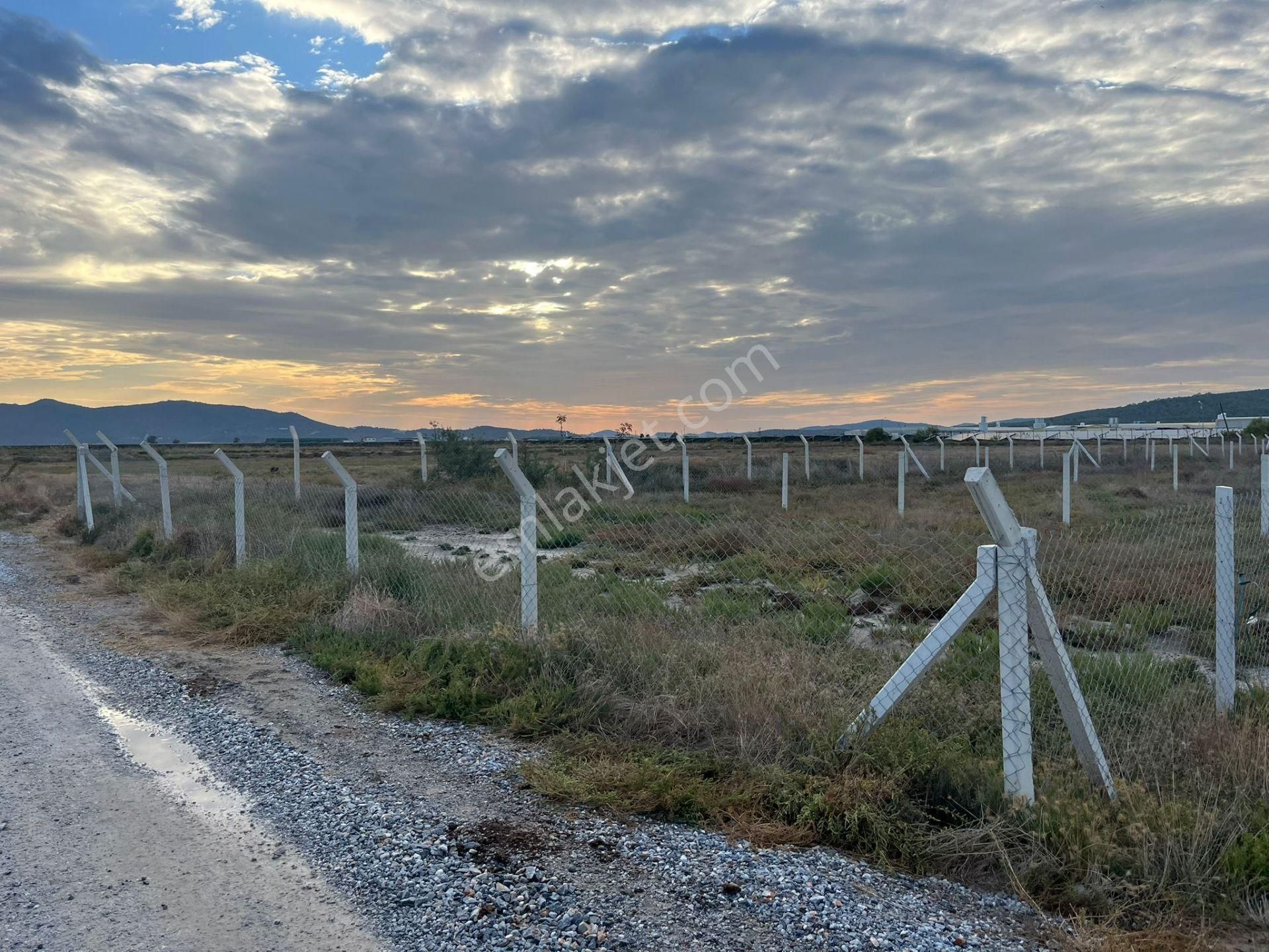 300 M²de Özgürlük Sizi Bekliyor Elektrik, Su, Güvenlik Hazır! - Görsel 14