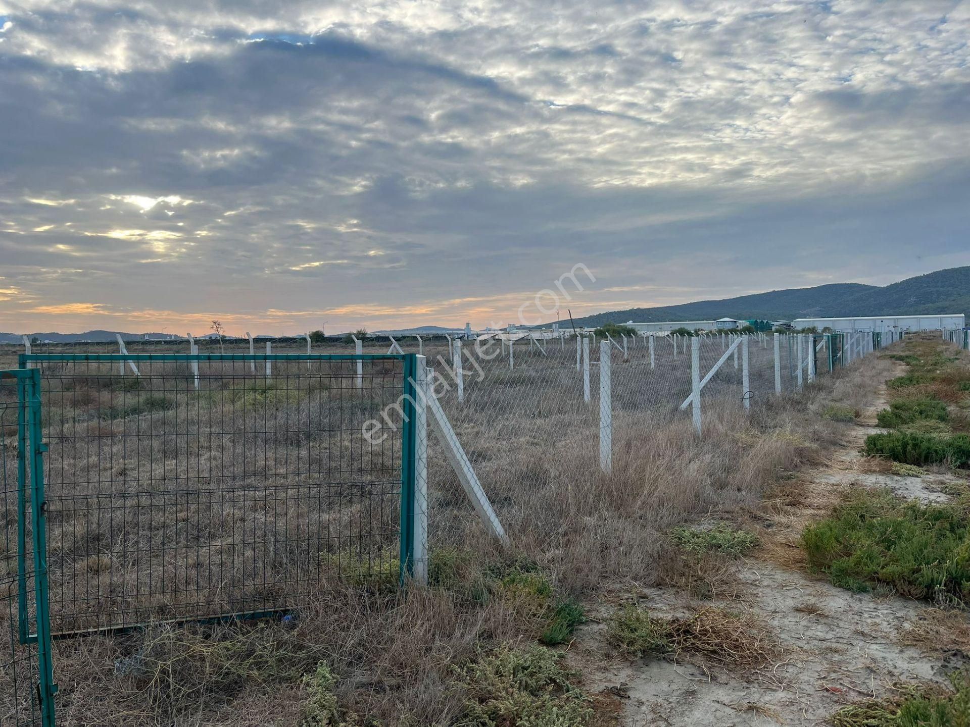 300 M²de Özgürlük Sizi Bekliyor Elektrik, Su, Güvenlik Hazır! - Görsel 24