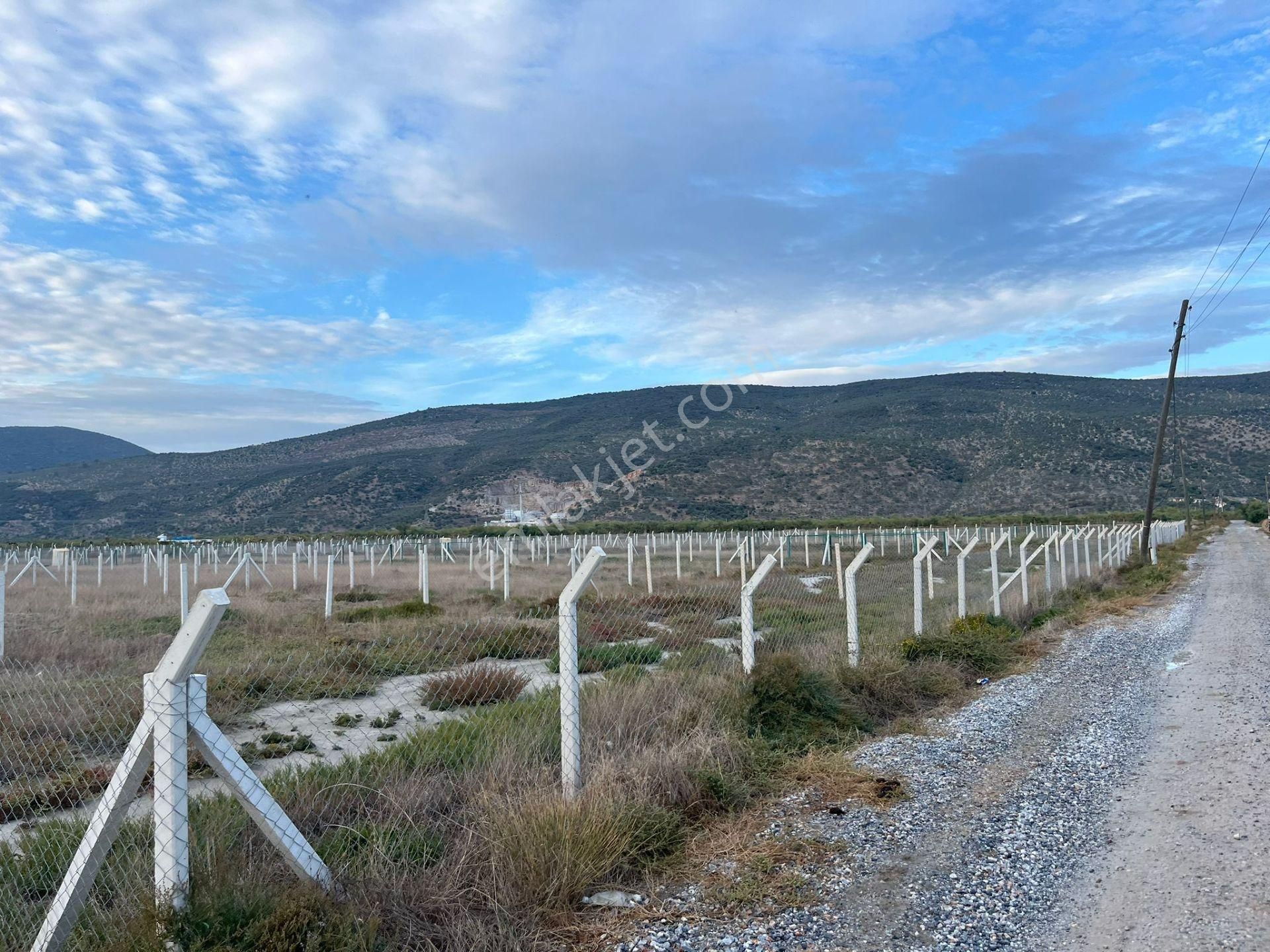 300 M²de Özgürlük Sizi Bekliyor Elektrik, Su, Güvenlik Hazır! - Görsel 21
