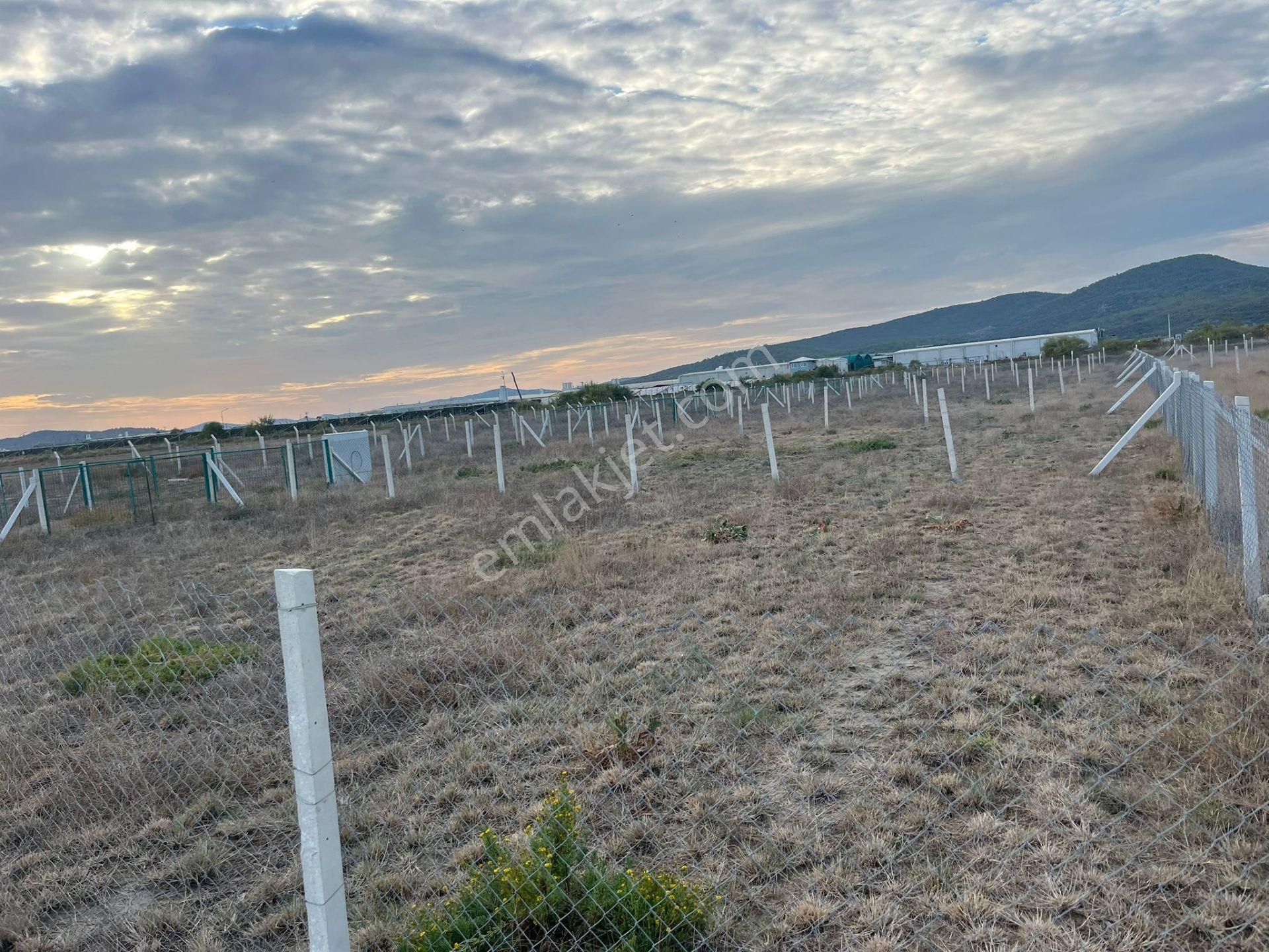 300 M²de Özgürlük Sizi Bekliyor Elektrik, Su, Güvenlik Hazır! - Görsel 26