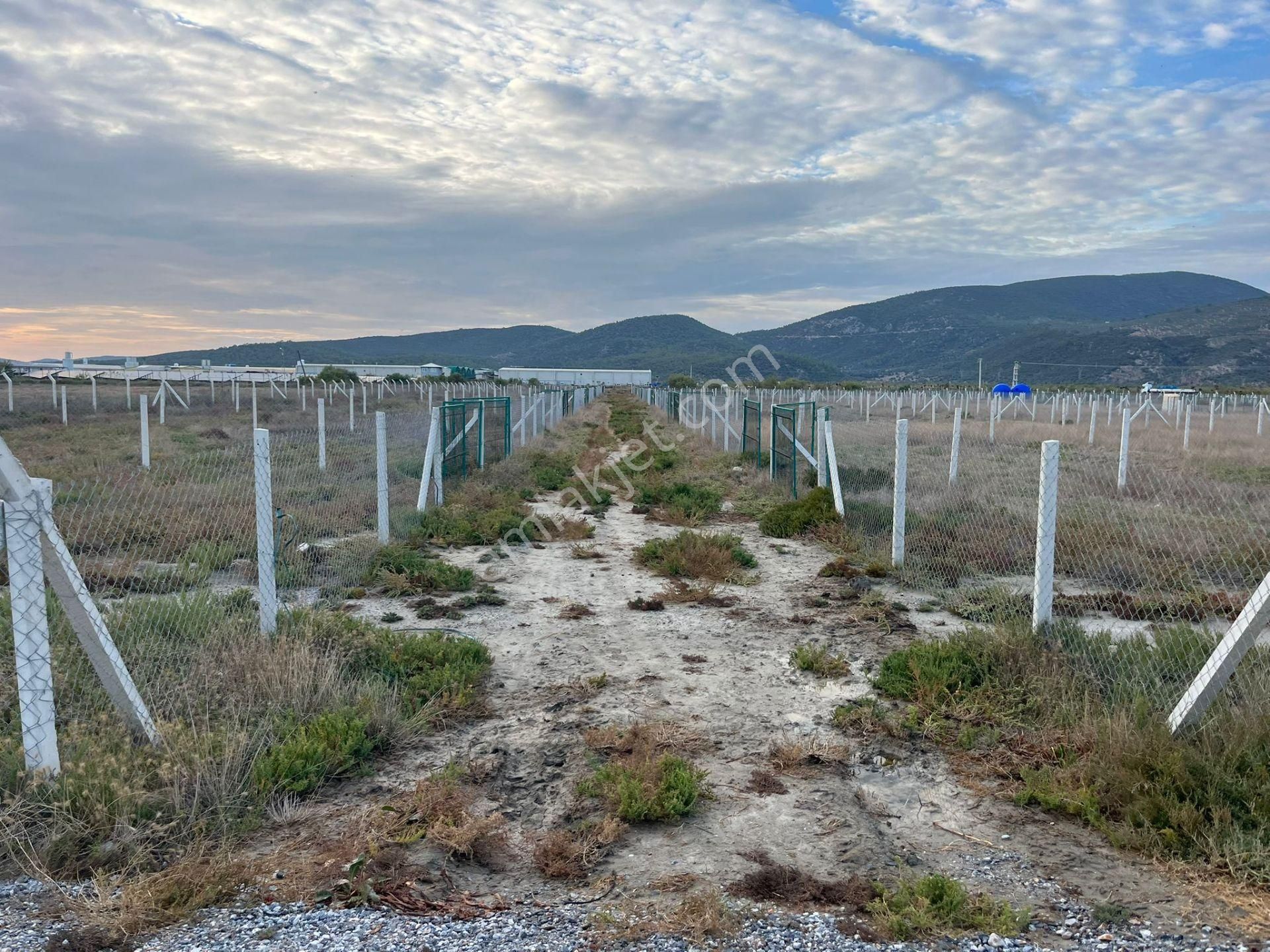 300 M²de Özgürlük Sizi Bekliyor Elektrik, Su, Güvenlik Hazır! - Görsel 23