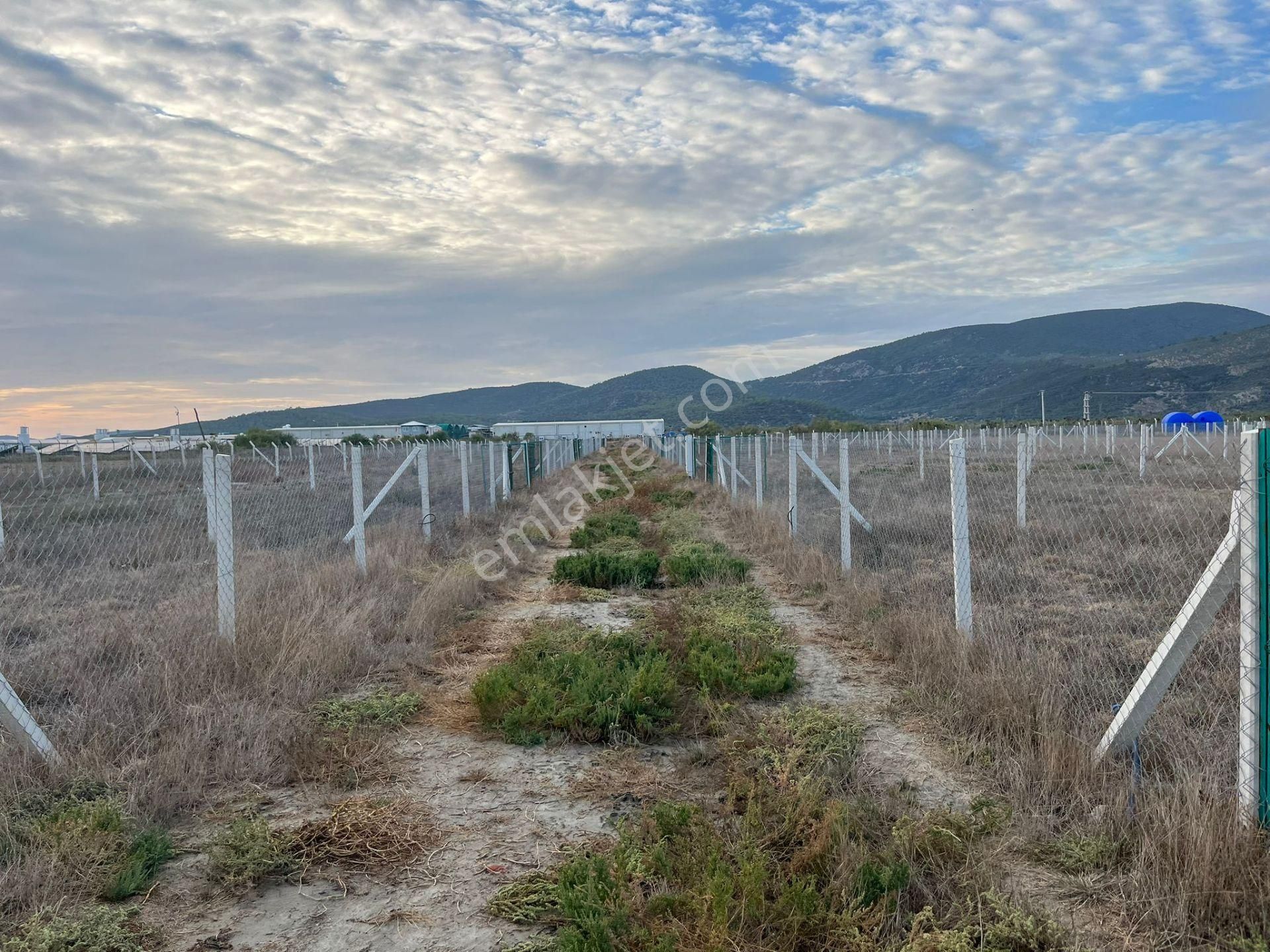 300 M²de Özgürlük Sizi Bekliyor Elektrik, Su, Güvenlik Hazır! - Görsel 16