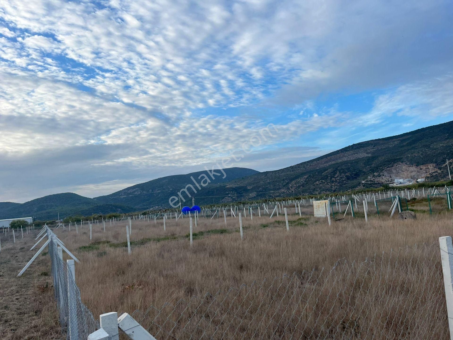 300 M²de Özgürlük Sizi Bekliyor Elektrik, Su, Güvenlik Hazır! - Görsel 29