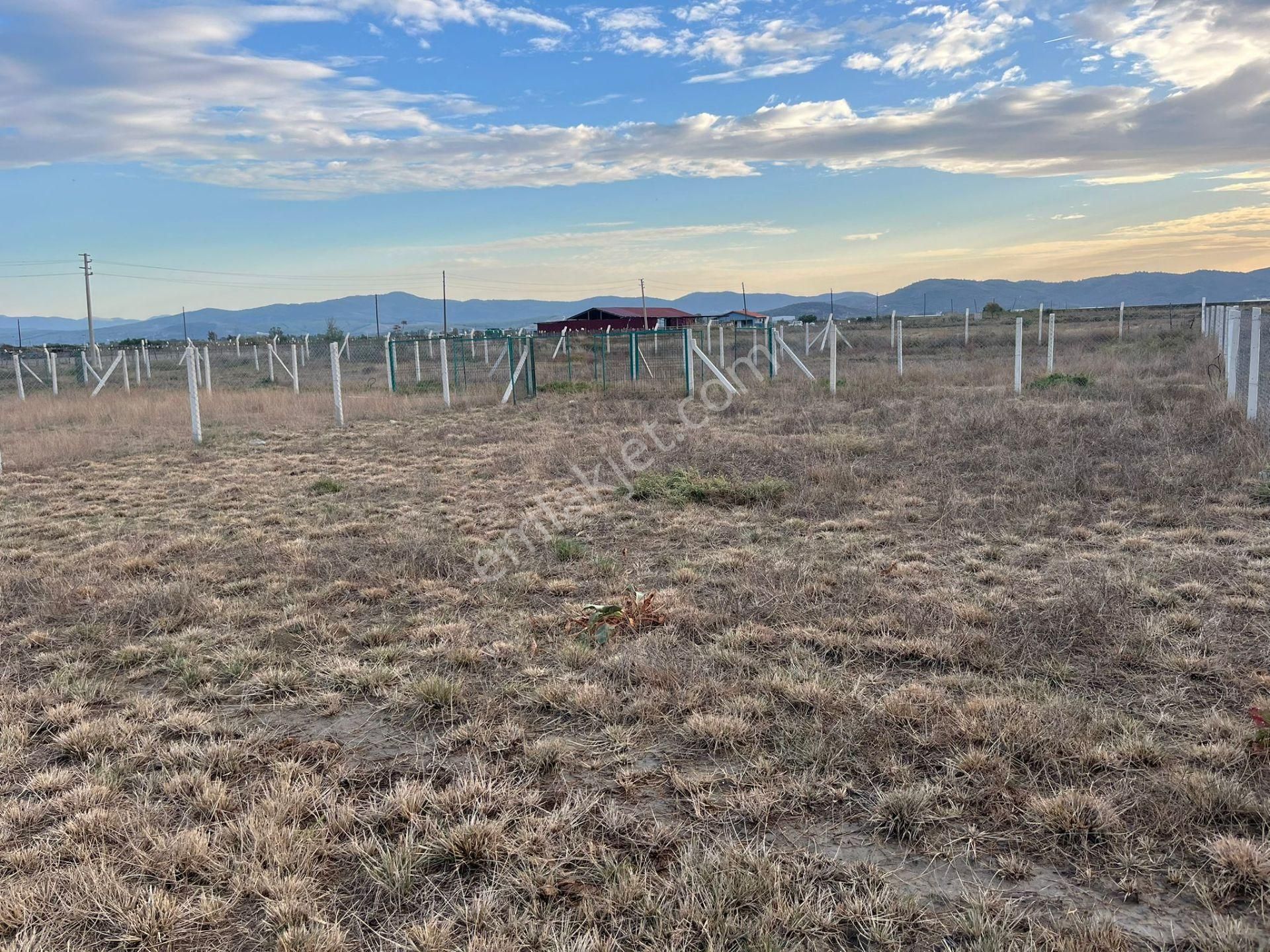 300 M²de Özgürlük Sizi Bekliyor Elektrik, Su, Güvenlik Hazır! - Görsel 33