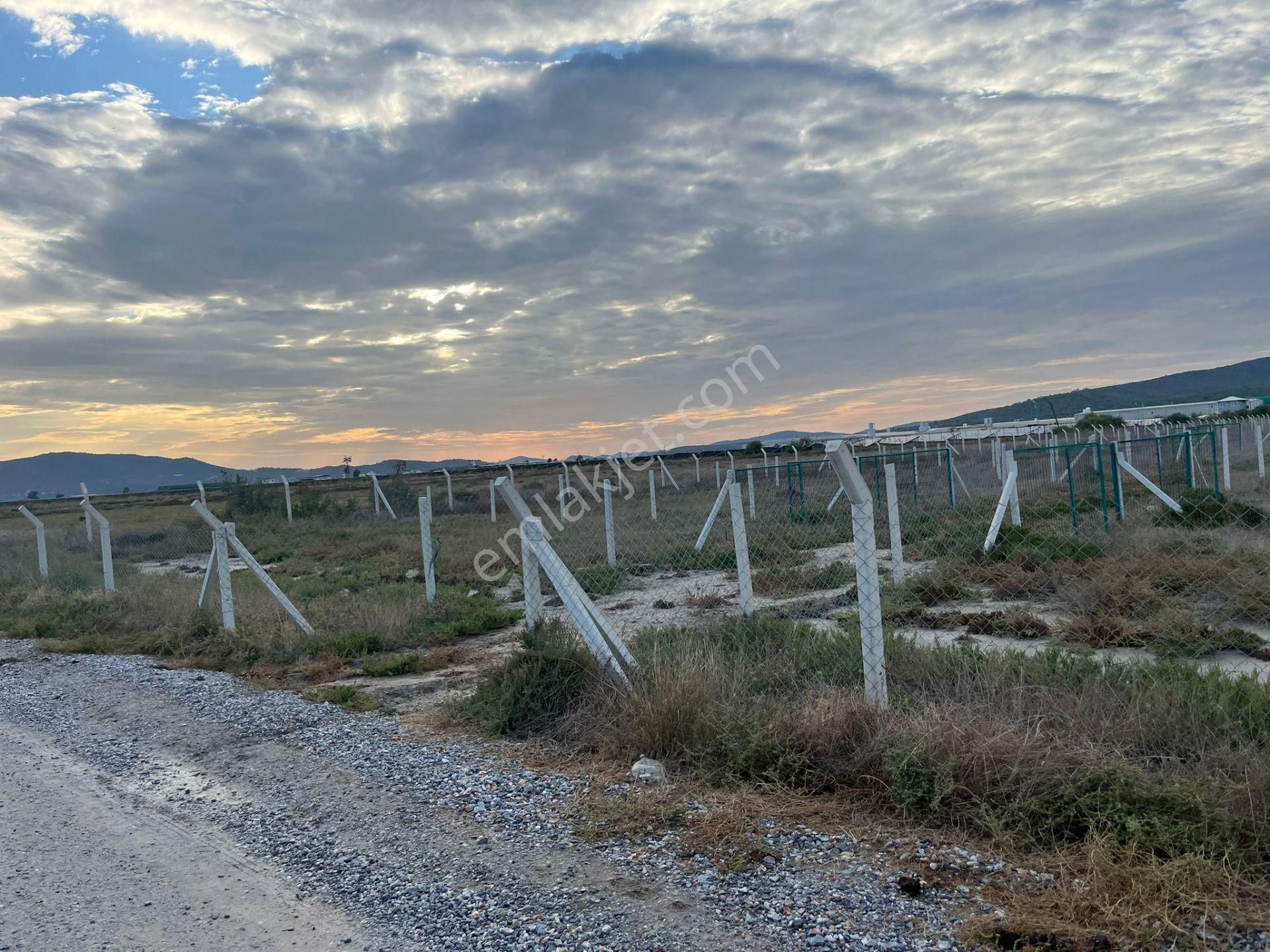 300 M²de Özgürlük Sizi Bekliyor Elektrik, Su, Güvenlik Hazır! - Görsel 11