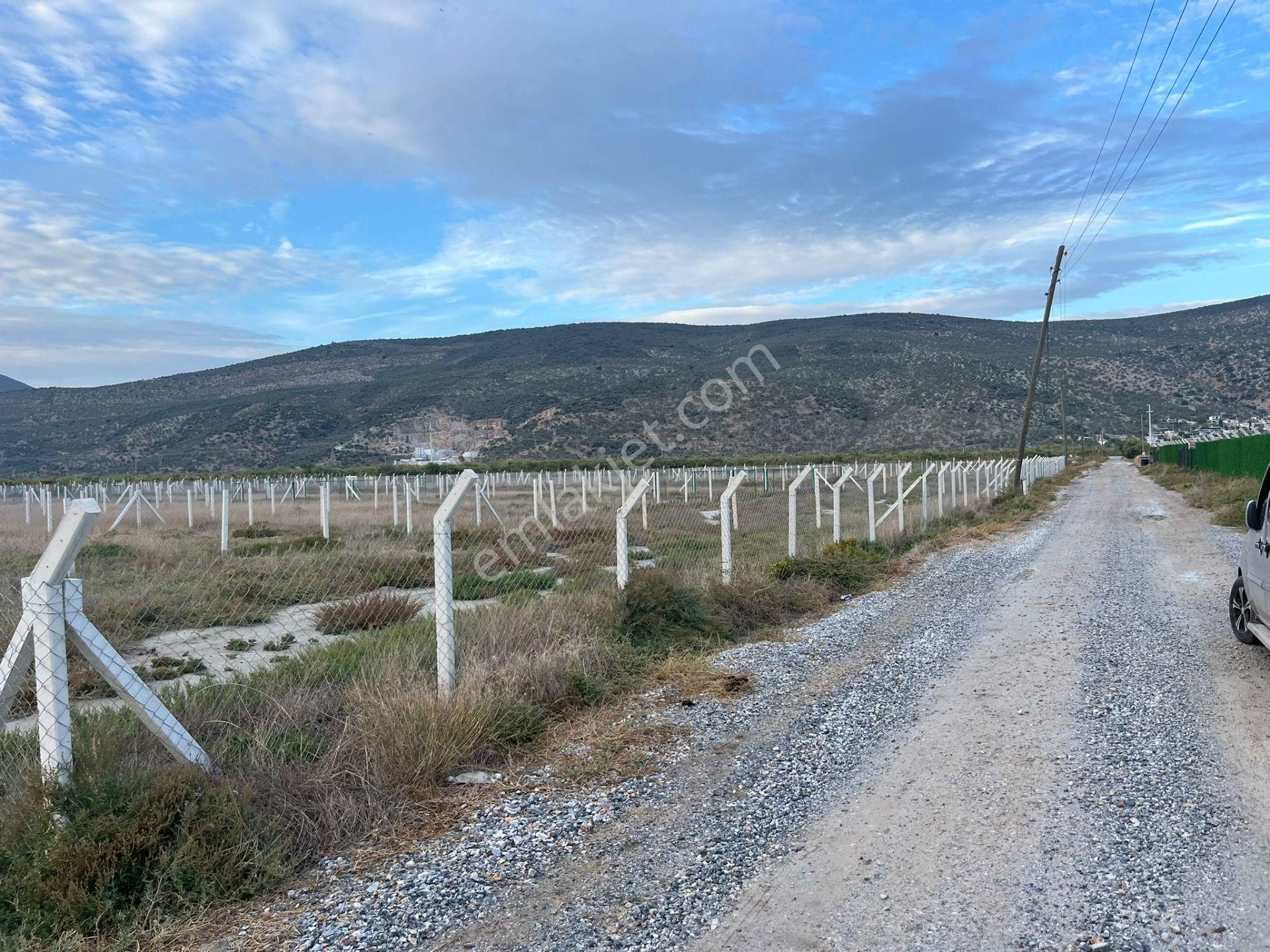 300 M²de Özgürlük Sizi Bekliyor Elektrik, Su, Güvenlik Hazır! - Görsel 18