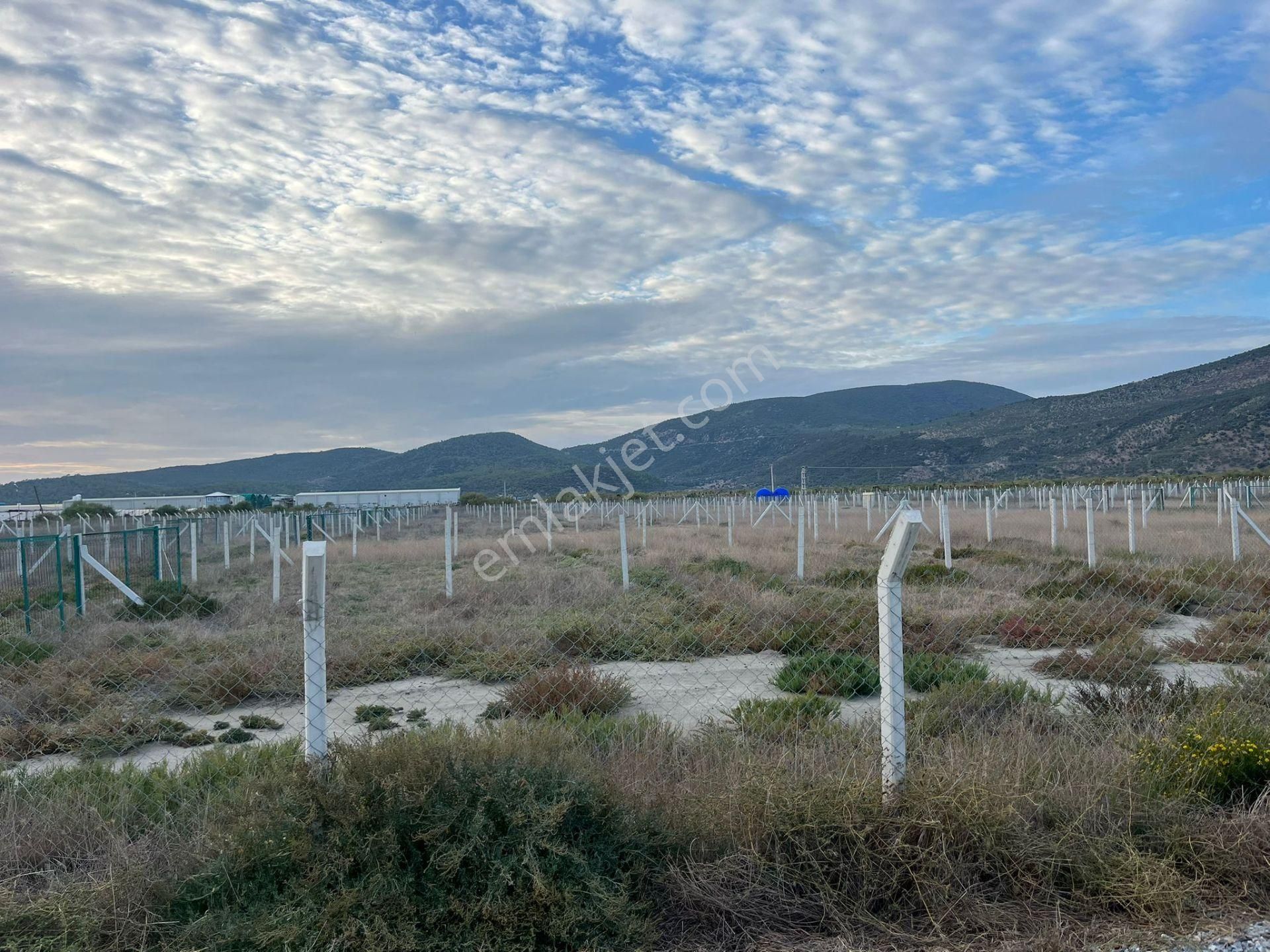 300 M²de Özgürlük Sizi Bekliyor Elektrik, Su, Güvenlik Hazır! - Görsel 2