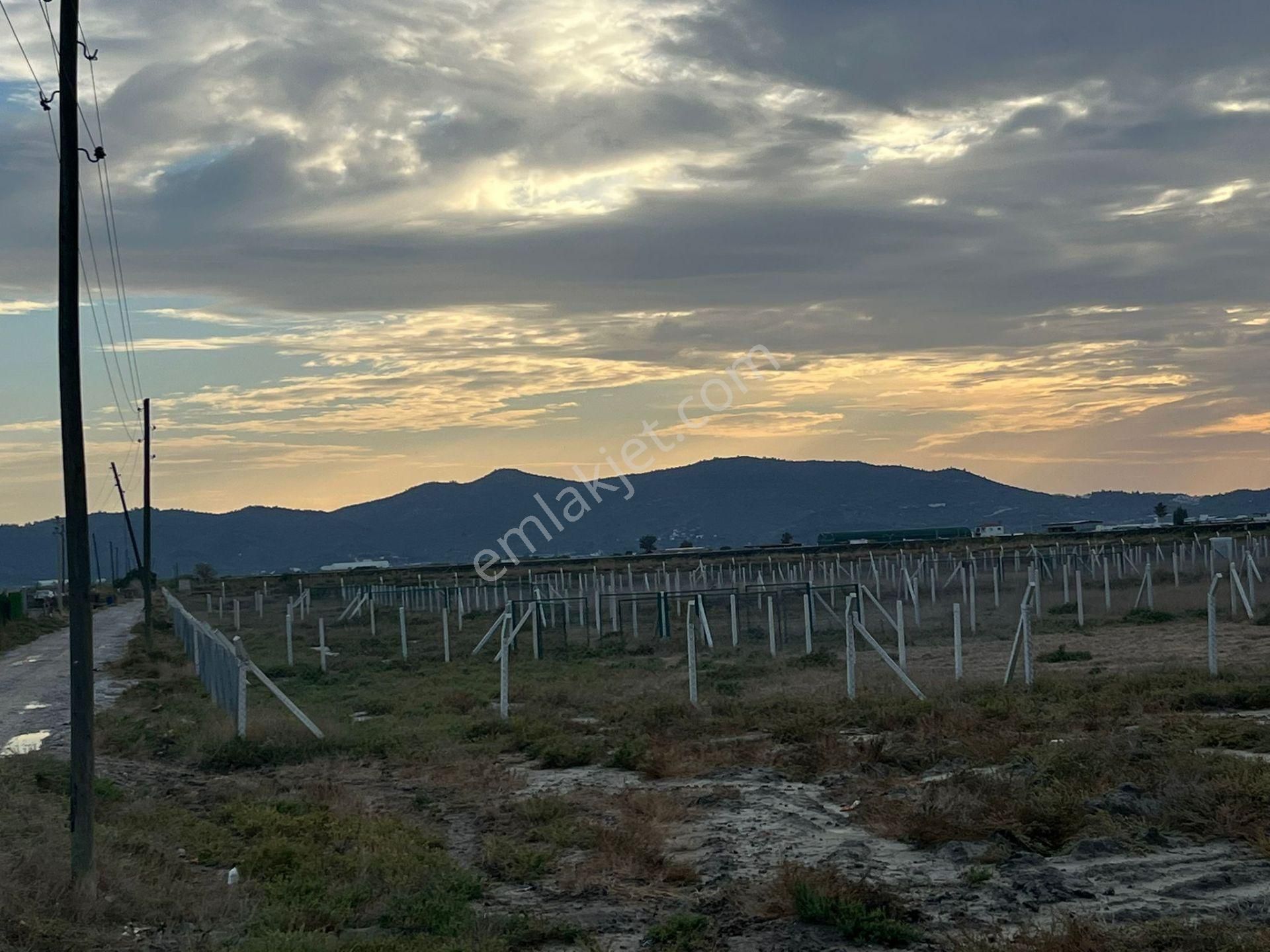300 M²de Özgürlük Sizi Bekliyor Elektrik, Su, Güvenlik Hazır! - Görsel 4