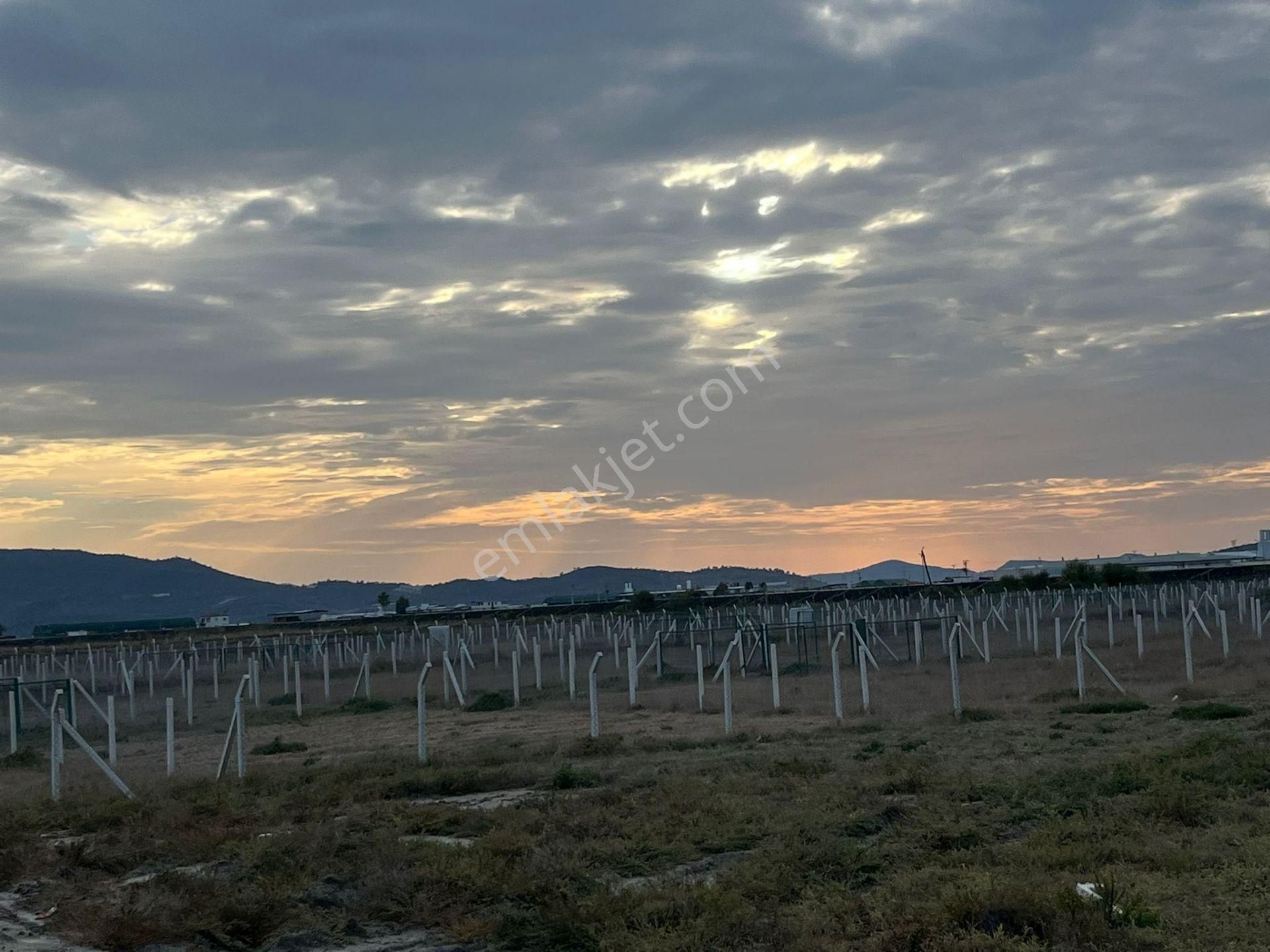 300 M²de Özgürlük Sizi Bekliyor Elektrik, Su, Güvenlik Hazır! - Görsel 5