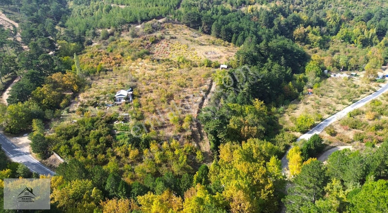 Kemalpaşa Bayramlı'da Satılık Kiraz Bahçesi - Görsel 30