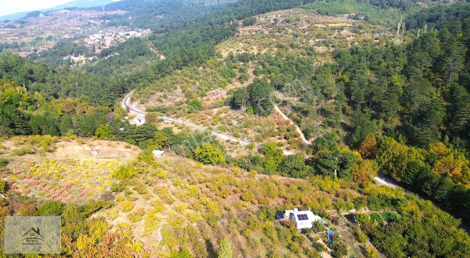 Kemalpaşa Bayramlı'da Satılık Kiraz Bahçesi - Görsel 7