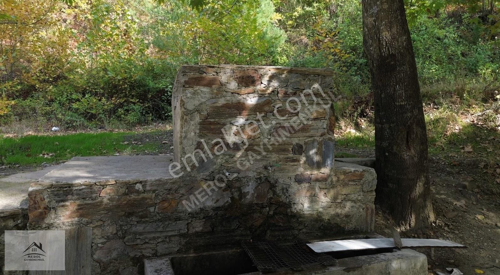 Kemalpaşa Bayramlı'da Satılık Kiraz Bahçesi - Görsel 11