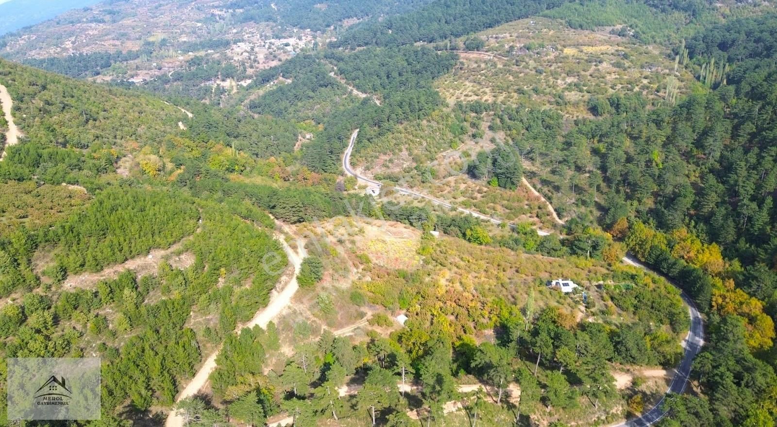 Kemalpaşa Bayramlı'da Satılık Kiraz Bahçesi - Görsel 10