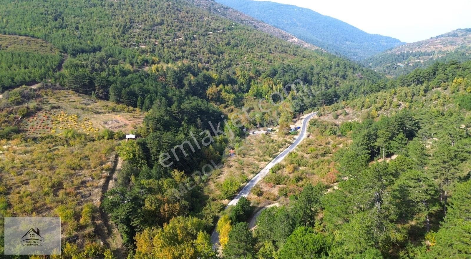 Kemalpaşa Bayramlı'da Satılık Kiraz Bahçesi - Görsel 5