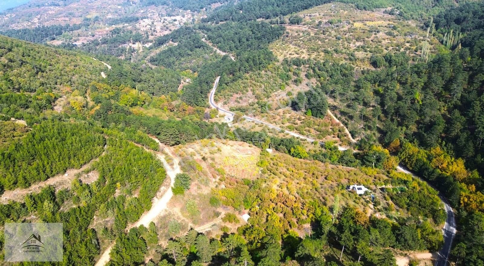 Kemalpaşa Bayramlı'da Satılık Kiraz Bahçesi - Görsel 34