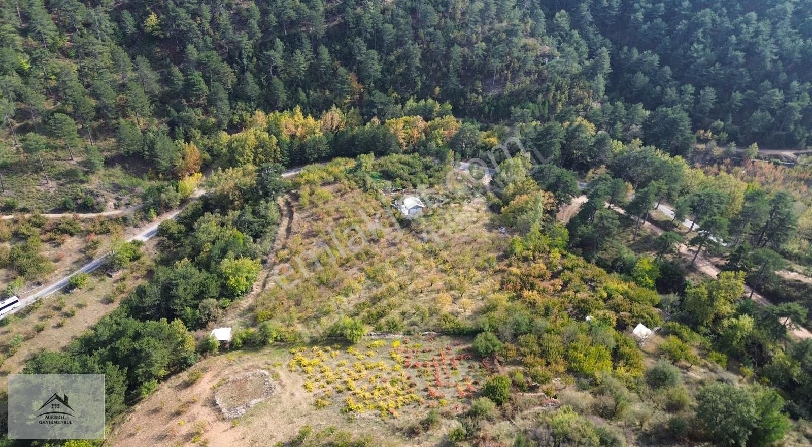 Kemalpaşa Bayramlı'da Satılık Kiraz Bahçesi - Görsel 27