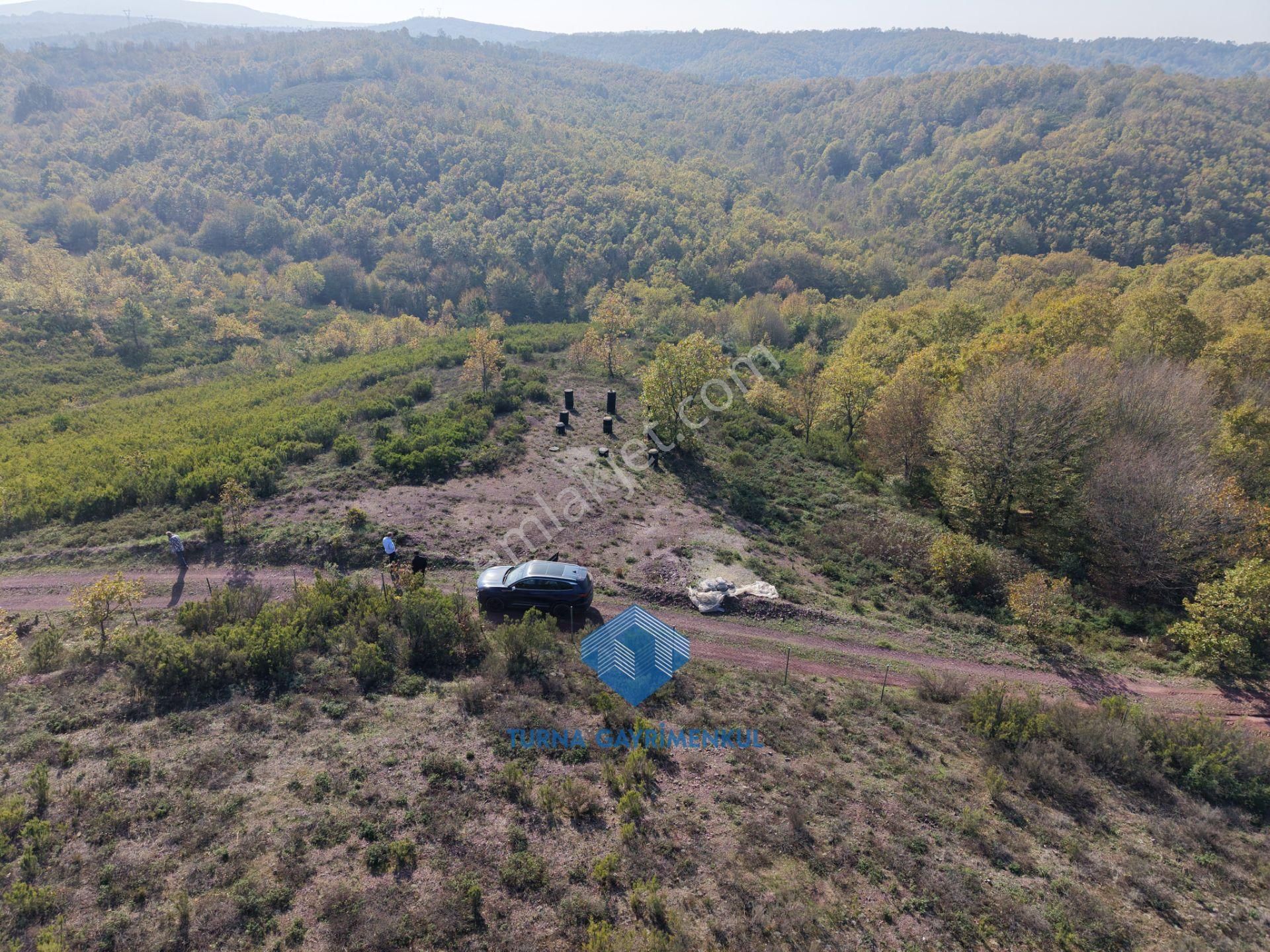 Gebze Mudarlı'da 2300 M2 Müstakil Tapulu Satılık Tarla - Görsel 5