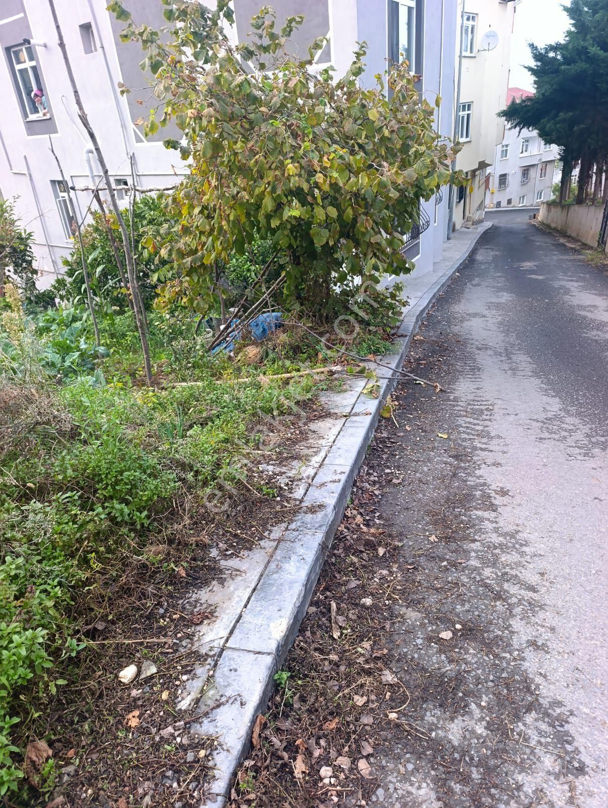 Şerefiye Mahallesi'nde Satılık Uygun Arsa - Görsel 4