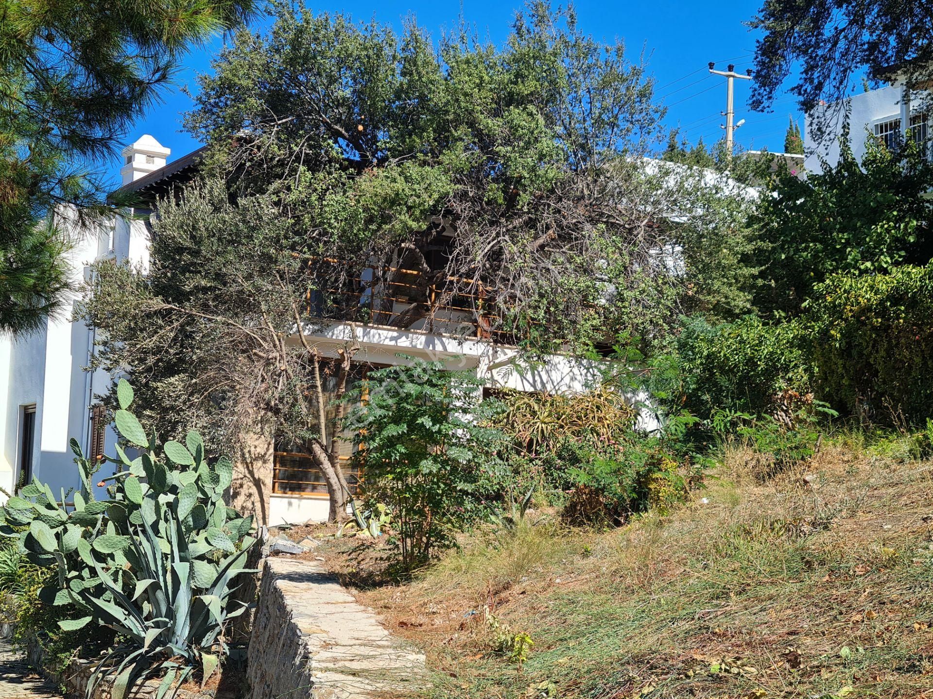 Bodrum Gümüşlük Gümsan 1 Sitesinde Satılık 3+1 Dubleks Mesken - Görsel 35