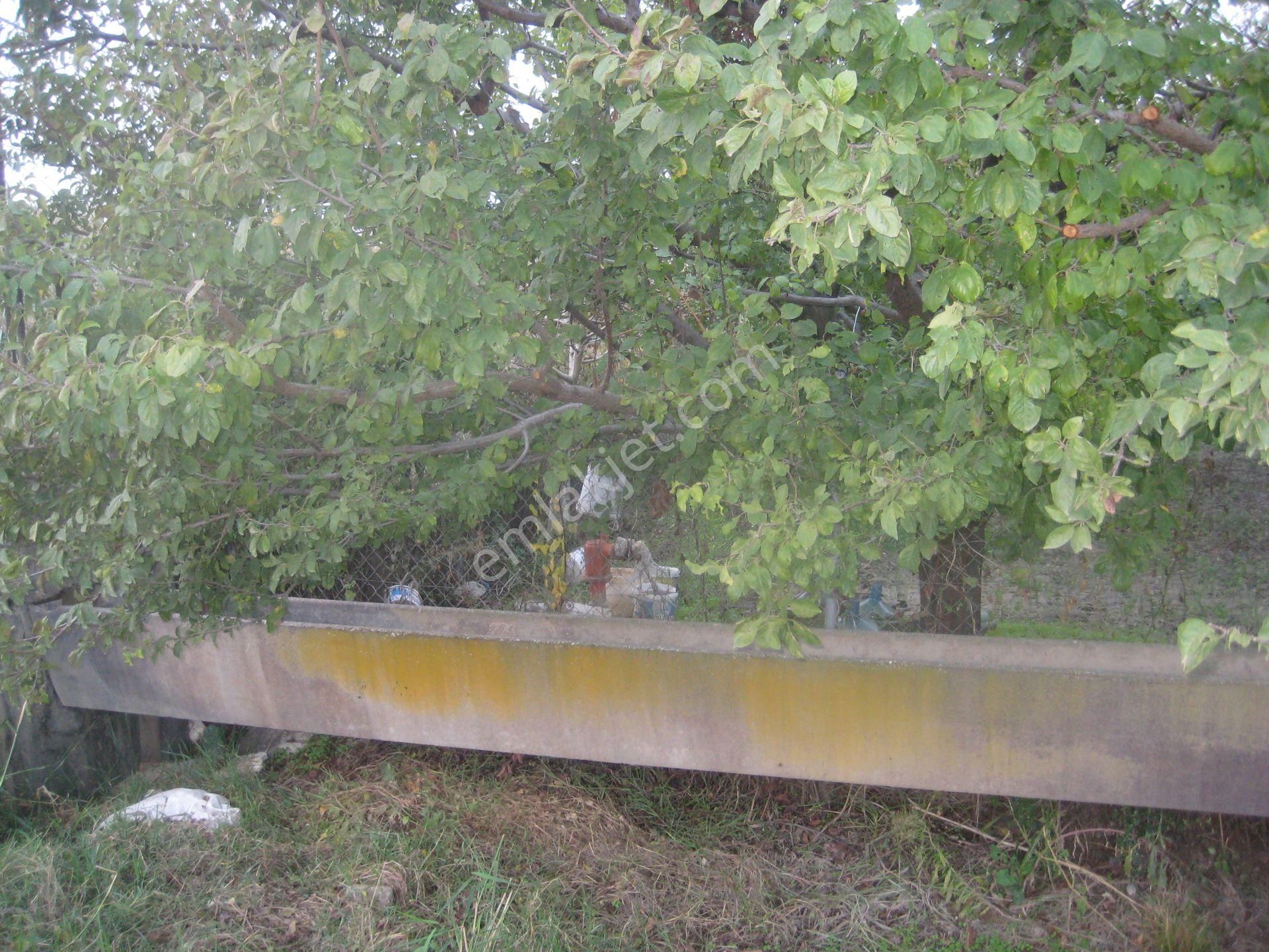 Menemen Buruncuk Karabucak Mevki Satılık Müstakil Tarla - Görsel 8