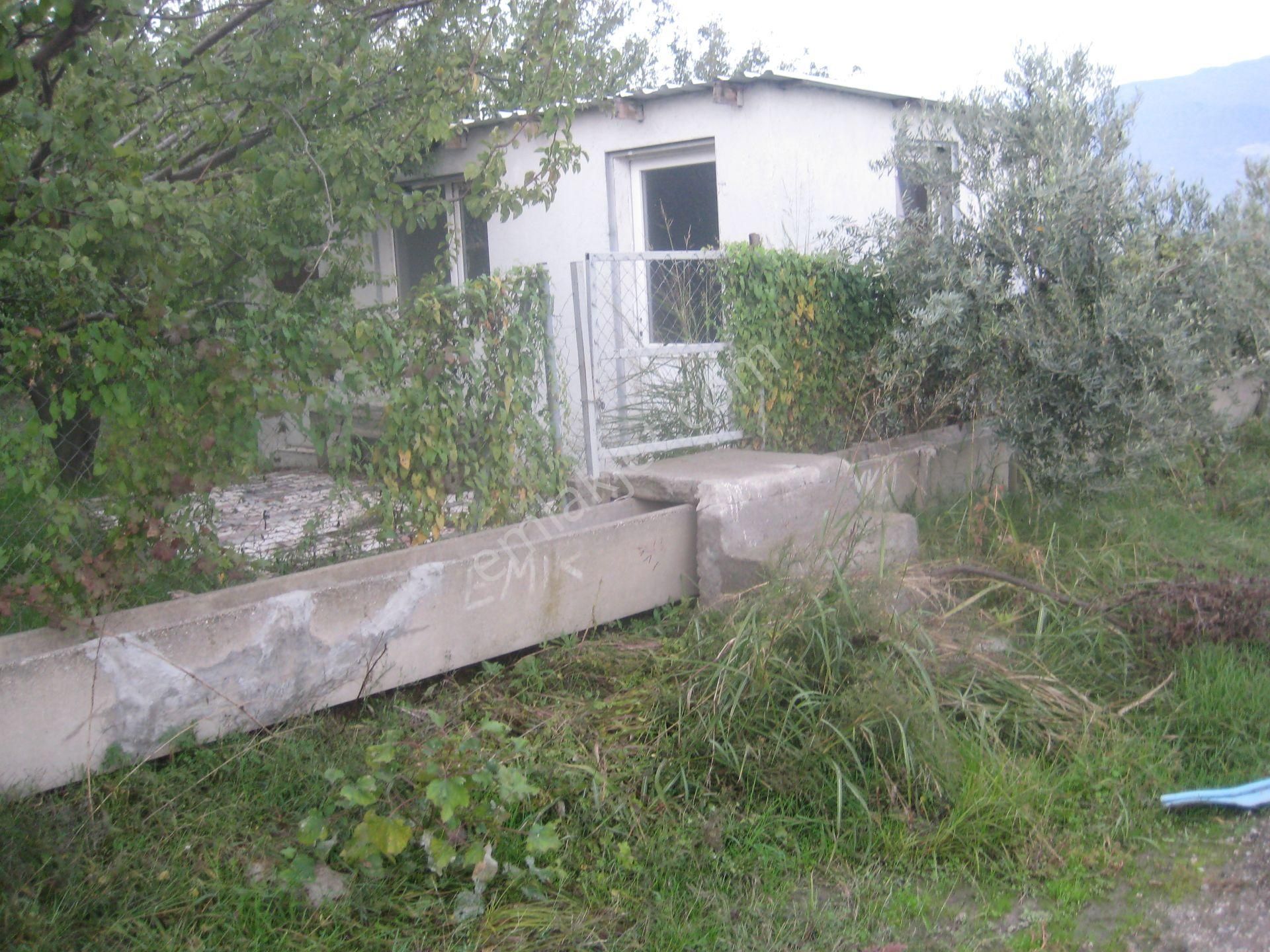 Menemen Buruncuk Karabucak Mevki Satılık Müstakil Tarla - Görsel 6