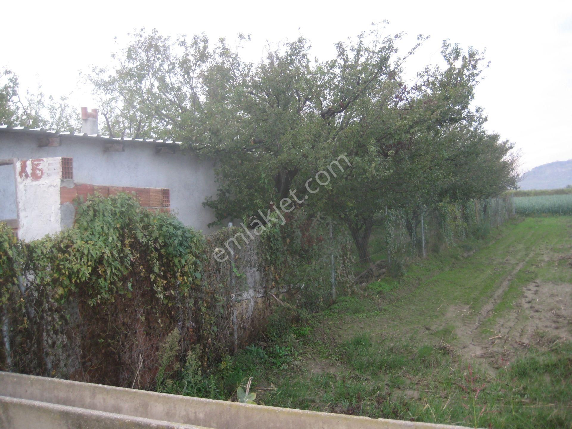 Menemen Buruncuk Karabucak Mevki Satılık Müstakil Tarla - Görsel 7