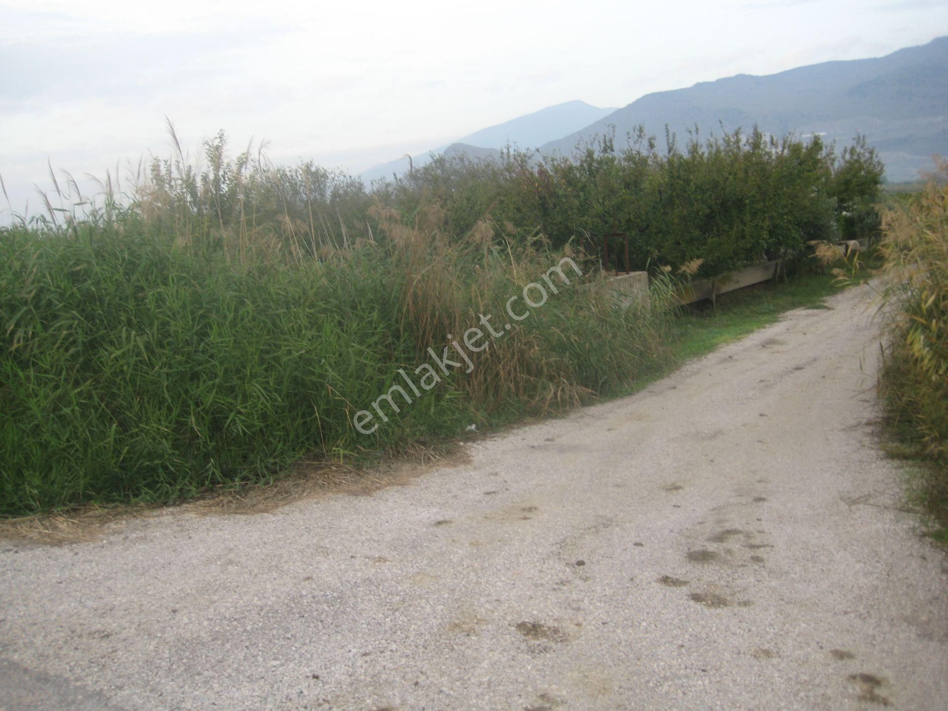 Menemen Buruncuk Karabucak Mevki Satılık Müstakil Tarla - Görsel 11