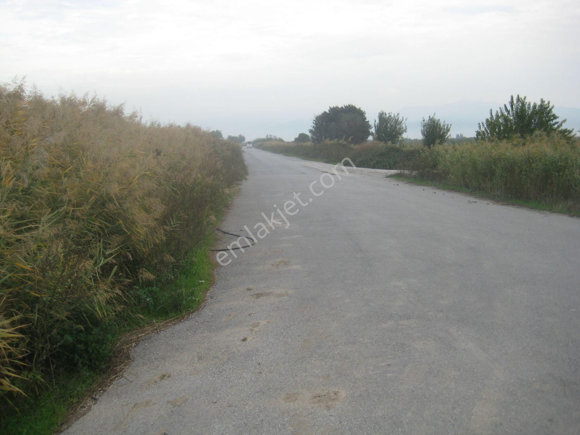 Menemen Buruncuk Karabucak Mevki Satılık Müstakil Tarla - Görsel 9