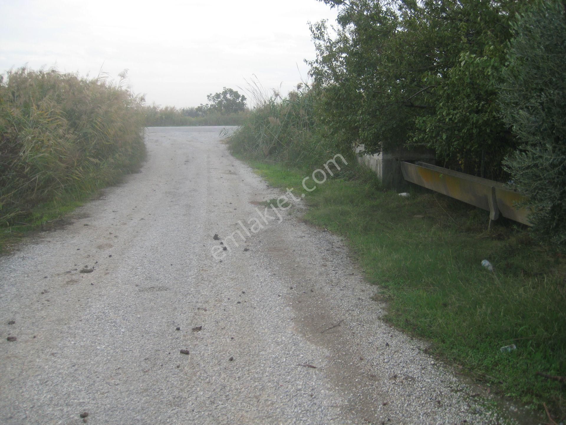 Menemen Buruncuk Karabucak Mevki Satılık Müstakil Tarla - Görsel 5