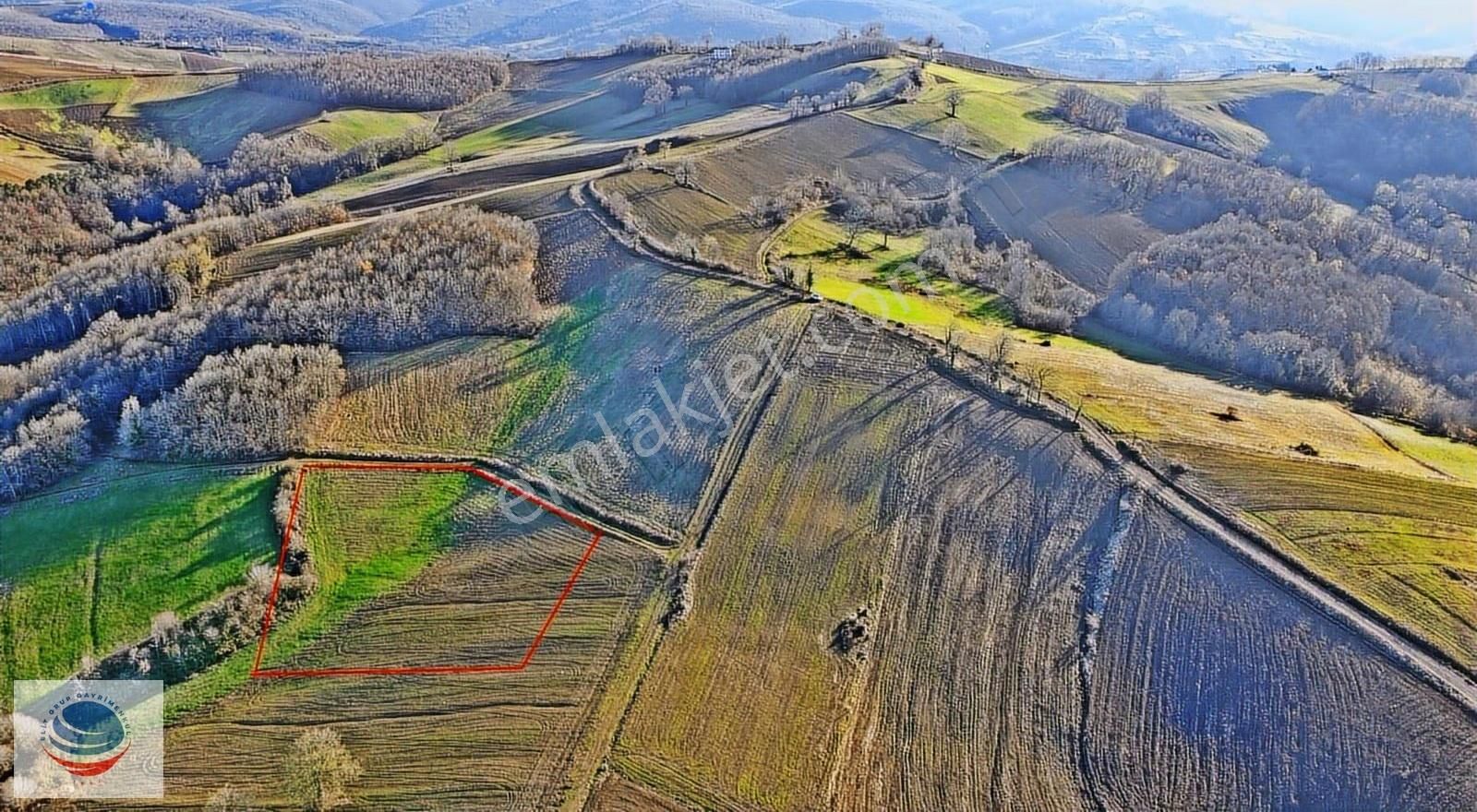 Geredeli Mah. 2.150m² Tek Tapu Yolu Olan Satılık Kupon Arsa - Görsel 12