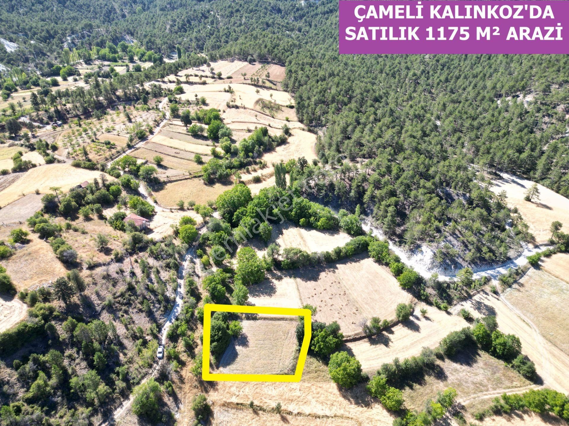 🦋lobby Fortis'ten Satılık Çameli Kalınkoz'da 1175 M² Yerleşime Yakın Arazi🦋