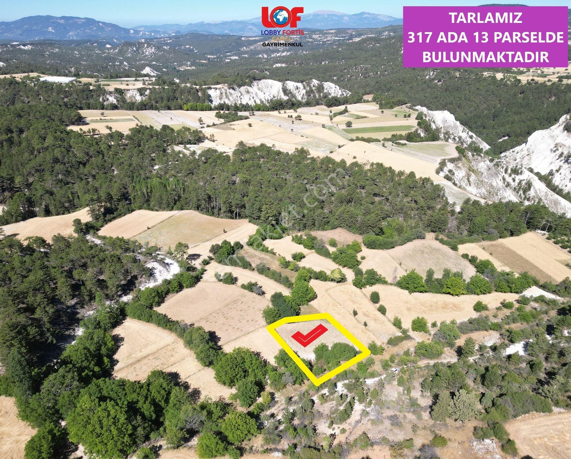 🦋lobby Fortis'ten Satılık Çameli Kalınkoz'da 1175 M² Yerleşime Yakın Arazi🦋 - Görsel 2