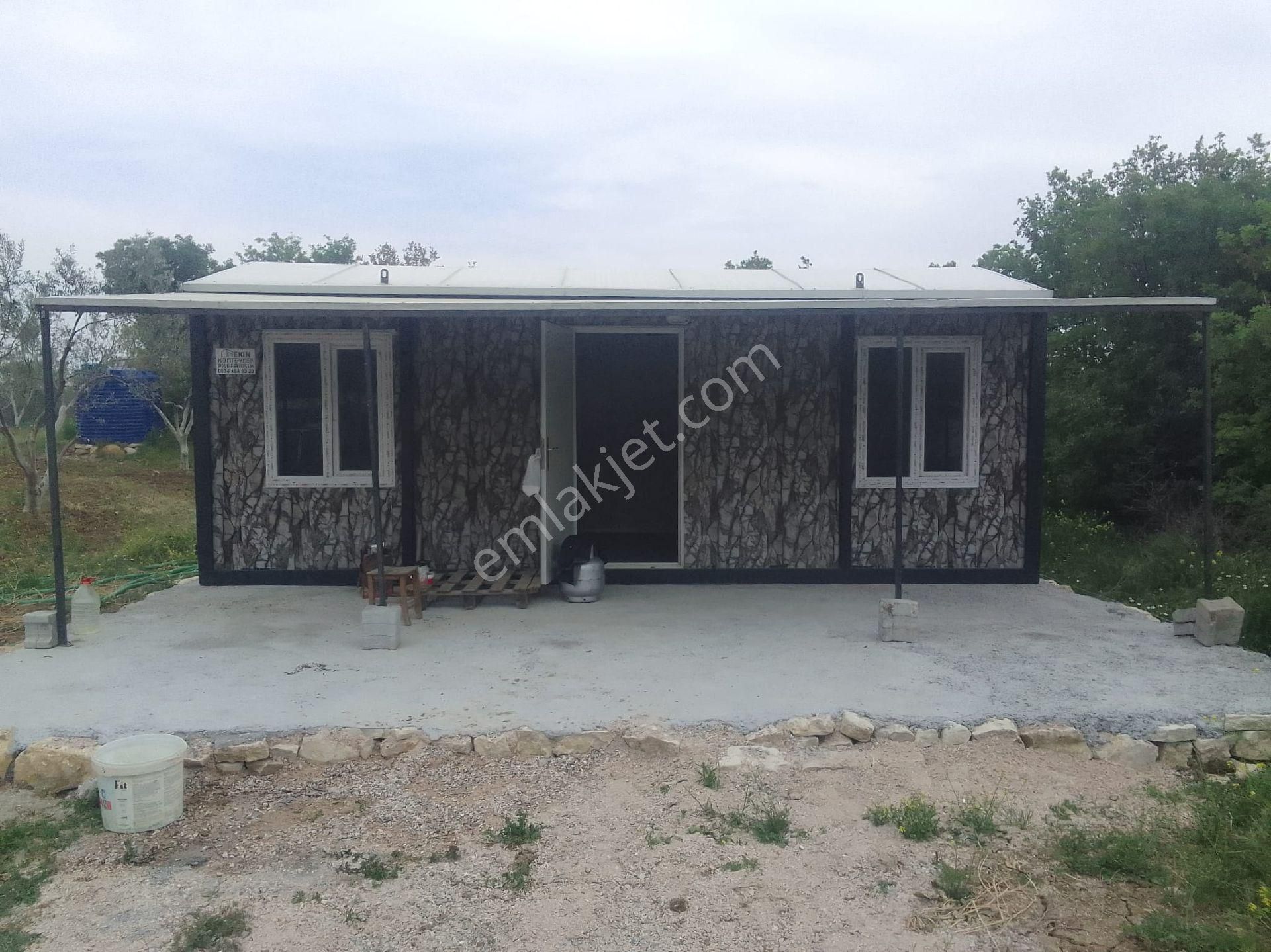 Paşaköy Satılık Zeytinlik - Görsel 2