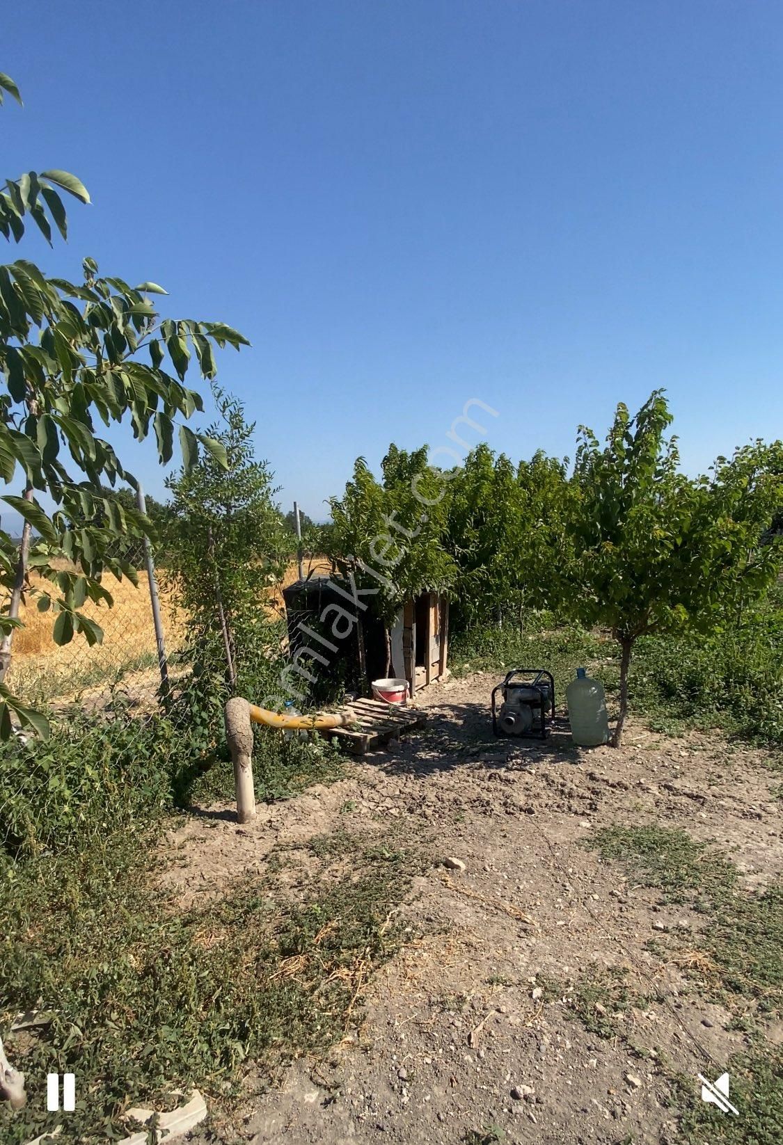 Hobi Bahçesi - Görsel 8