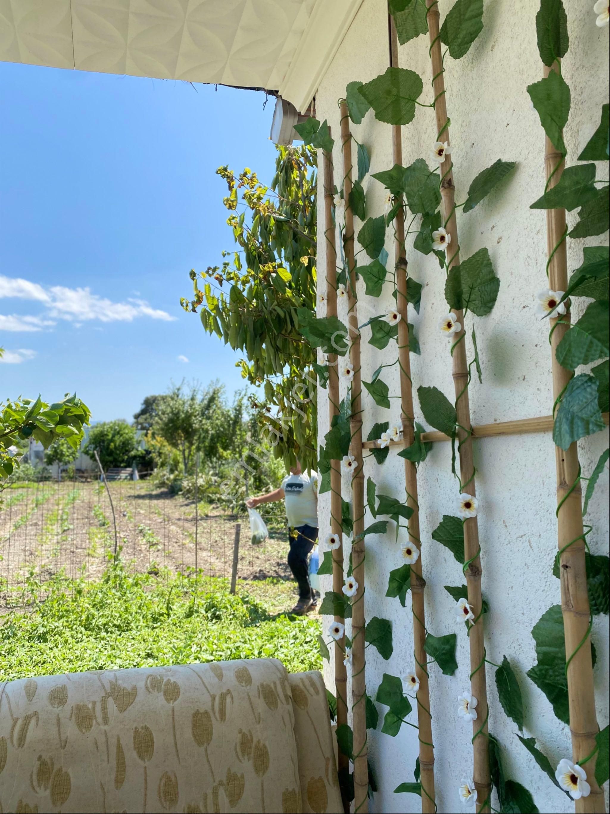 Hobi Bahçesi - Görsel 2